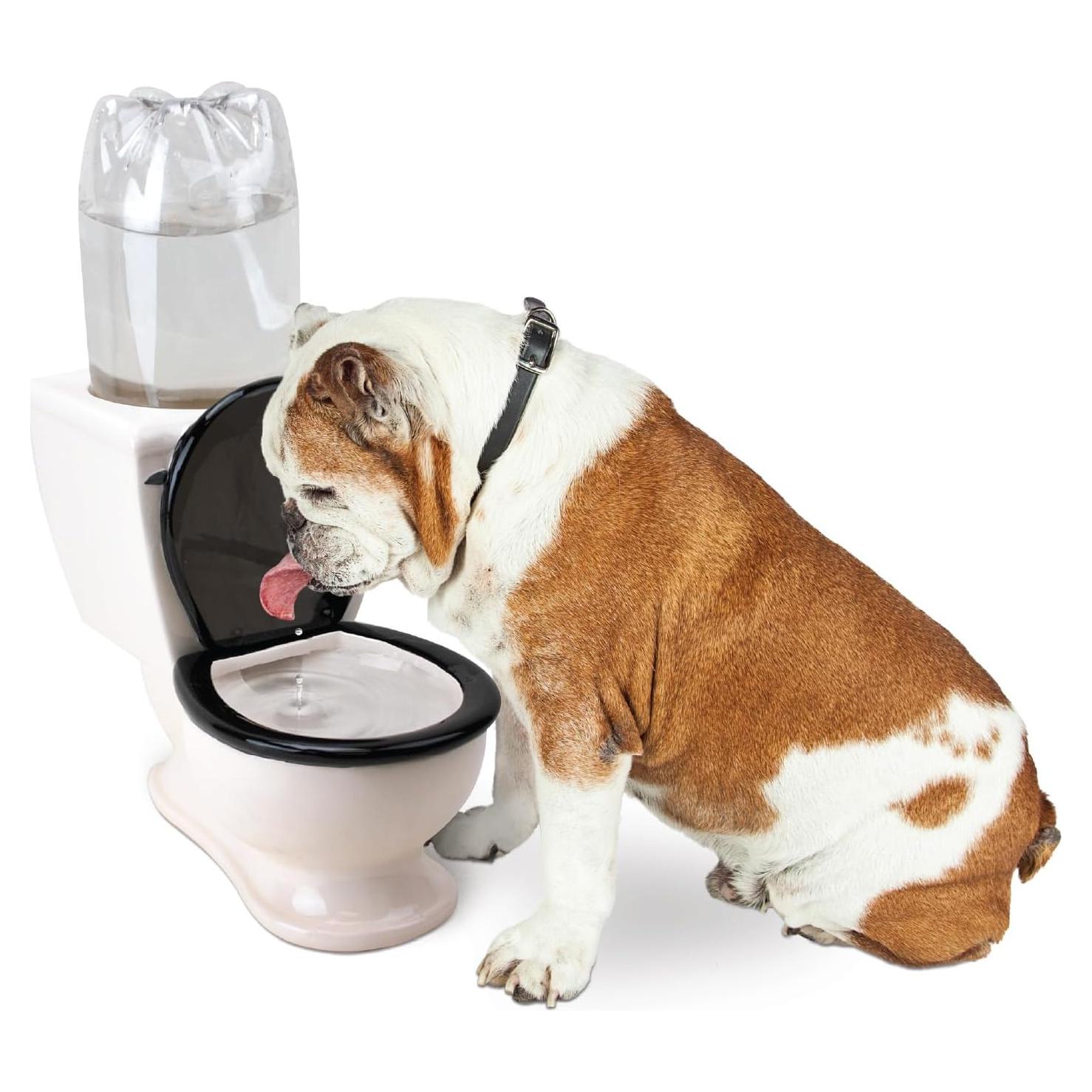 Plato de Agua para Mascotas BigMouth Inc Cerámica 2L