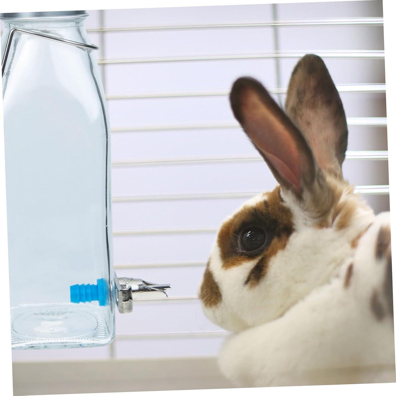 Botellas de Agua de Vidrio Kisangel para Conejos y Hámsteres