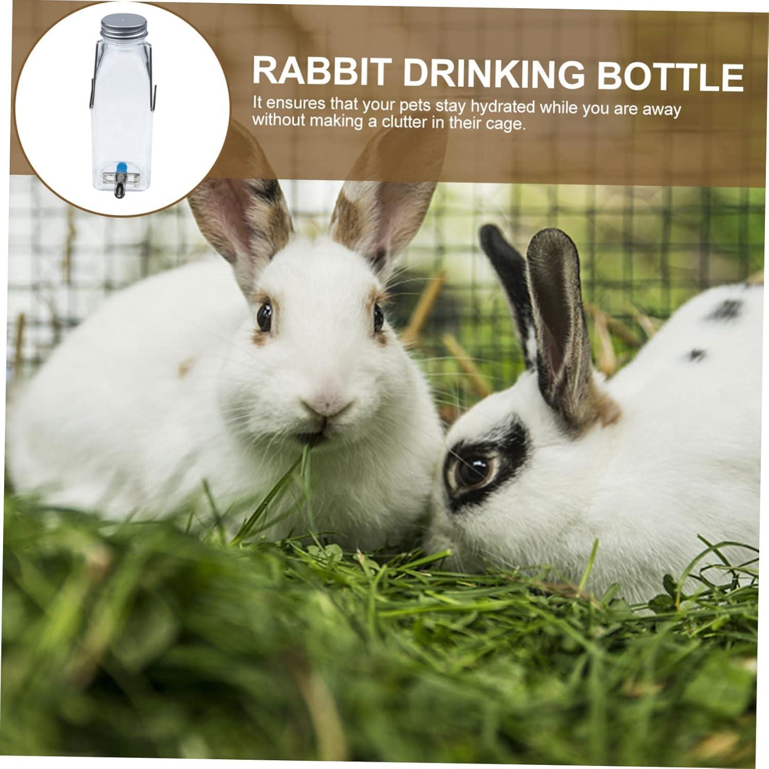 Botellas de Agua de Vidrio Kisangel para Conejos y Hámsteres