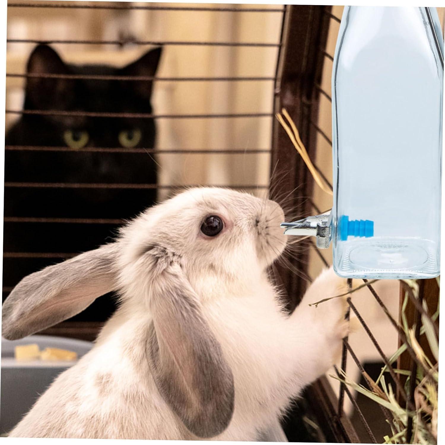 Botellas de Agua de Vidrio Kisangel para Conejos y Hámsteres