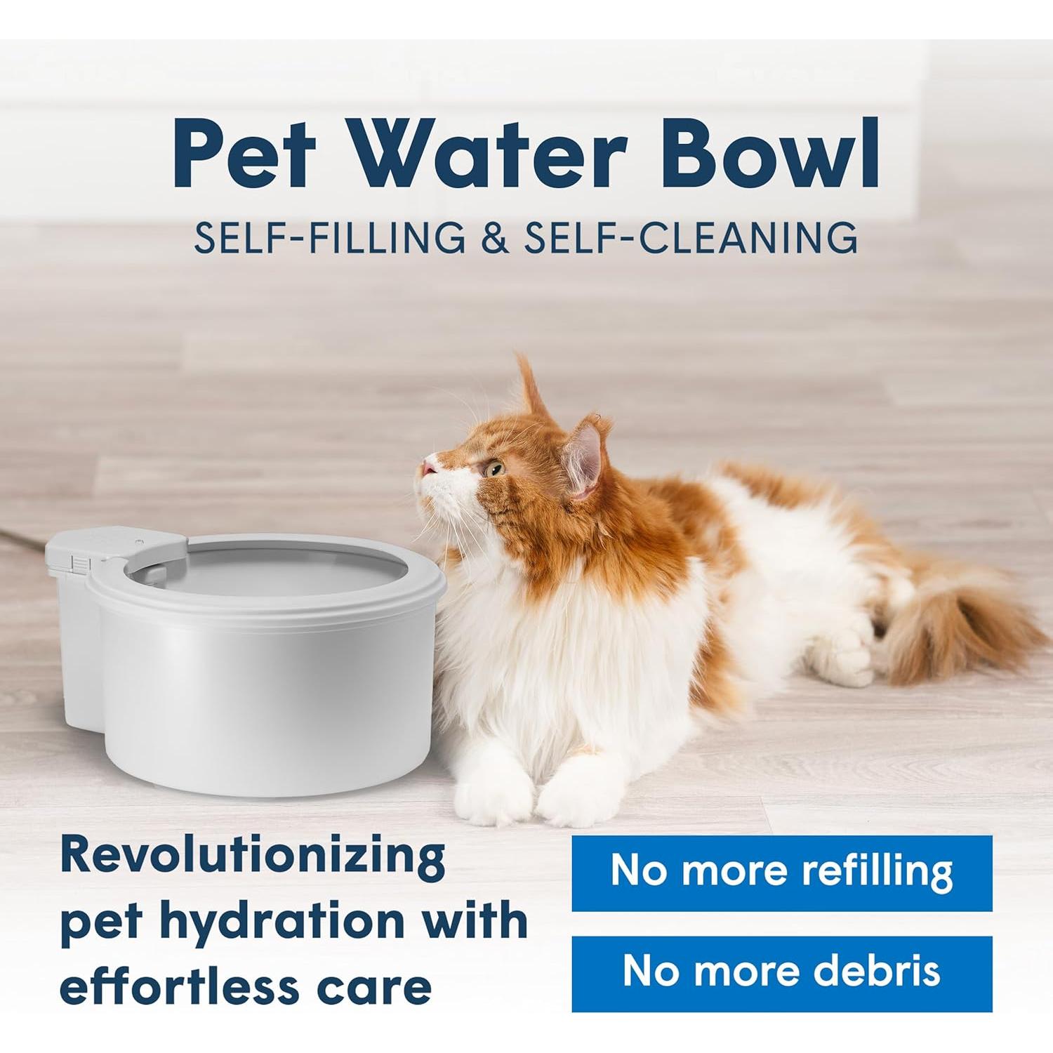 Tazón de Agua Automático Always Full 9" para Mascotas