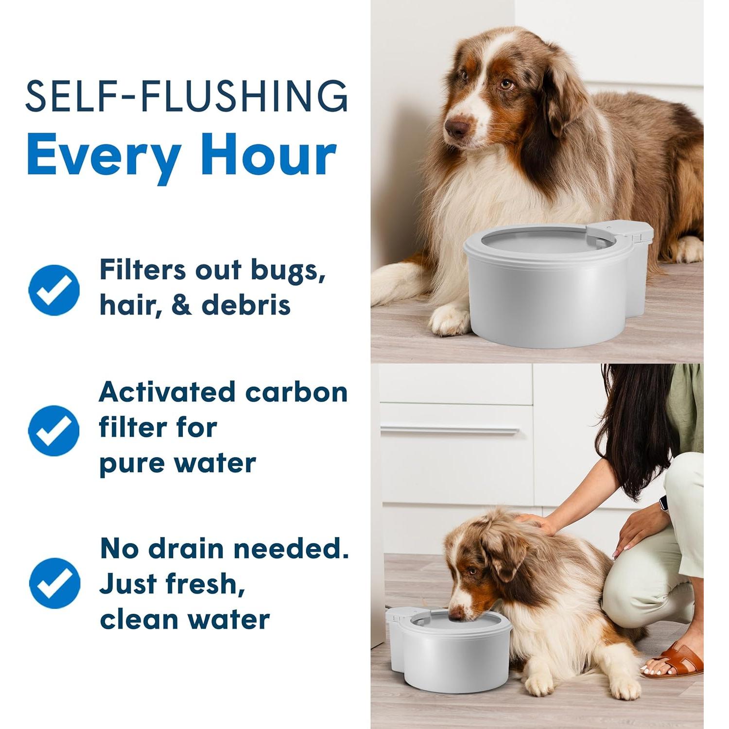 Tazón de Agua Automático Always Full 9" para Mascotas