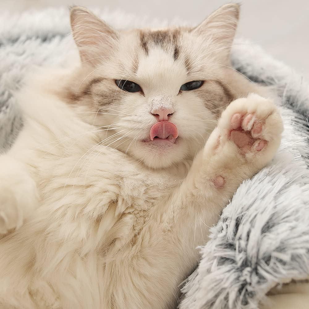 Cama para Gato Fluffy Mediana Gris con Capucha y Manta