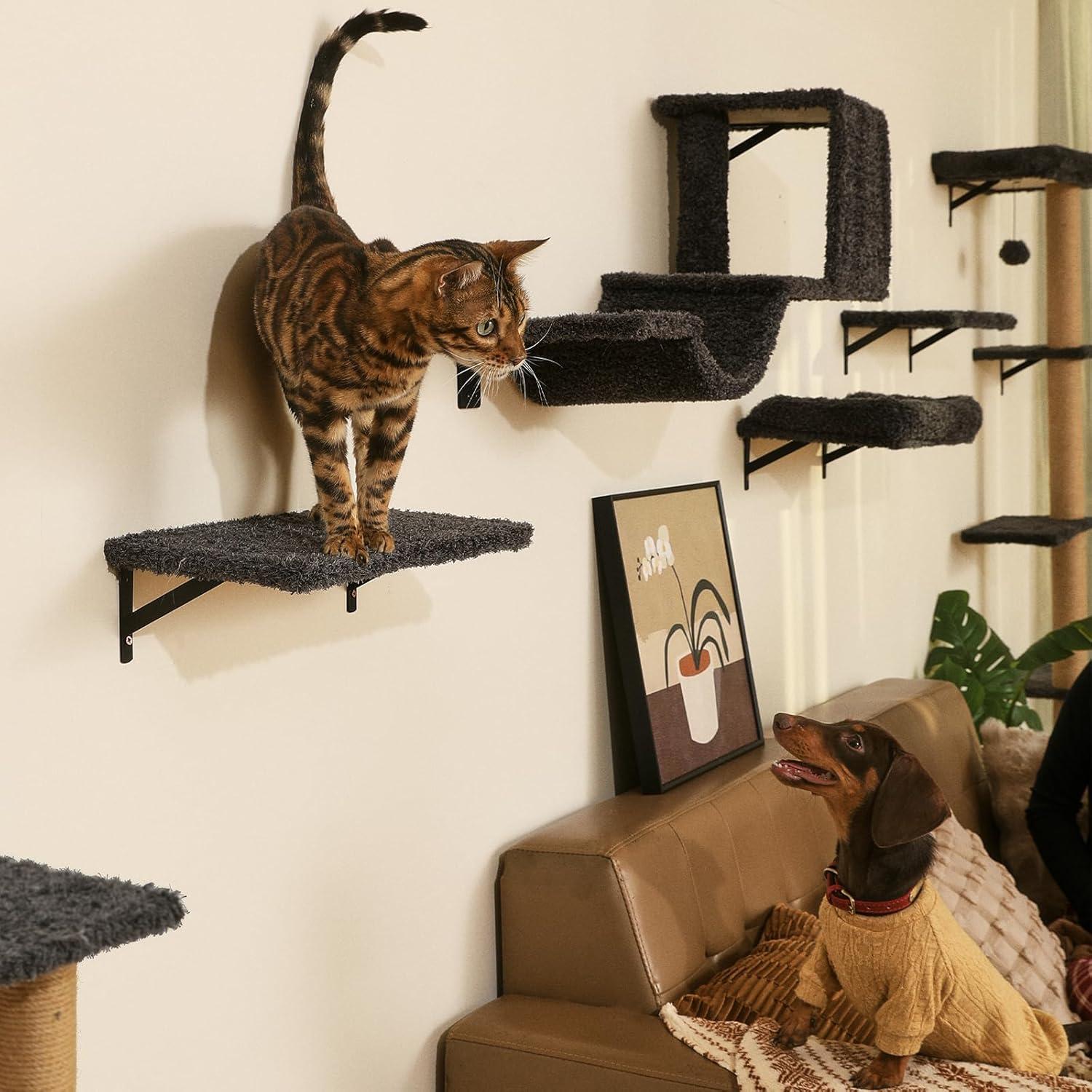 Estantes de Pared para Gatos FUKUMARU 4 en 1 Gris - Madera