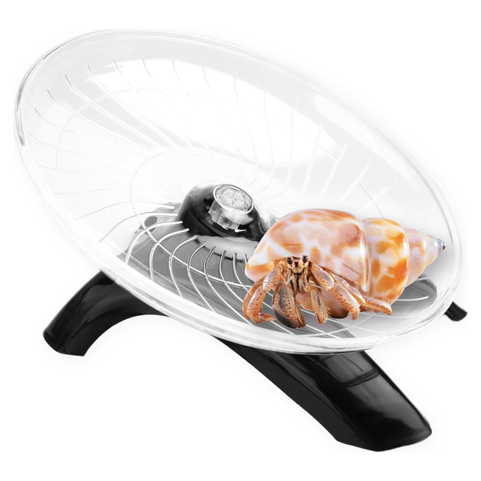 Rueda de Escalada para Cangrejos Ermitaños Huycz 8 cm