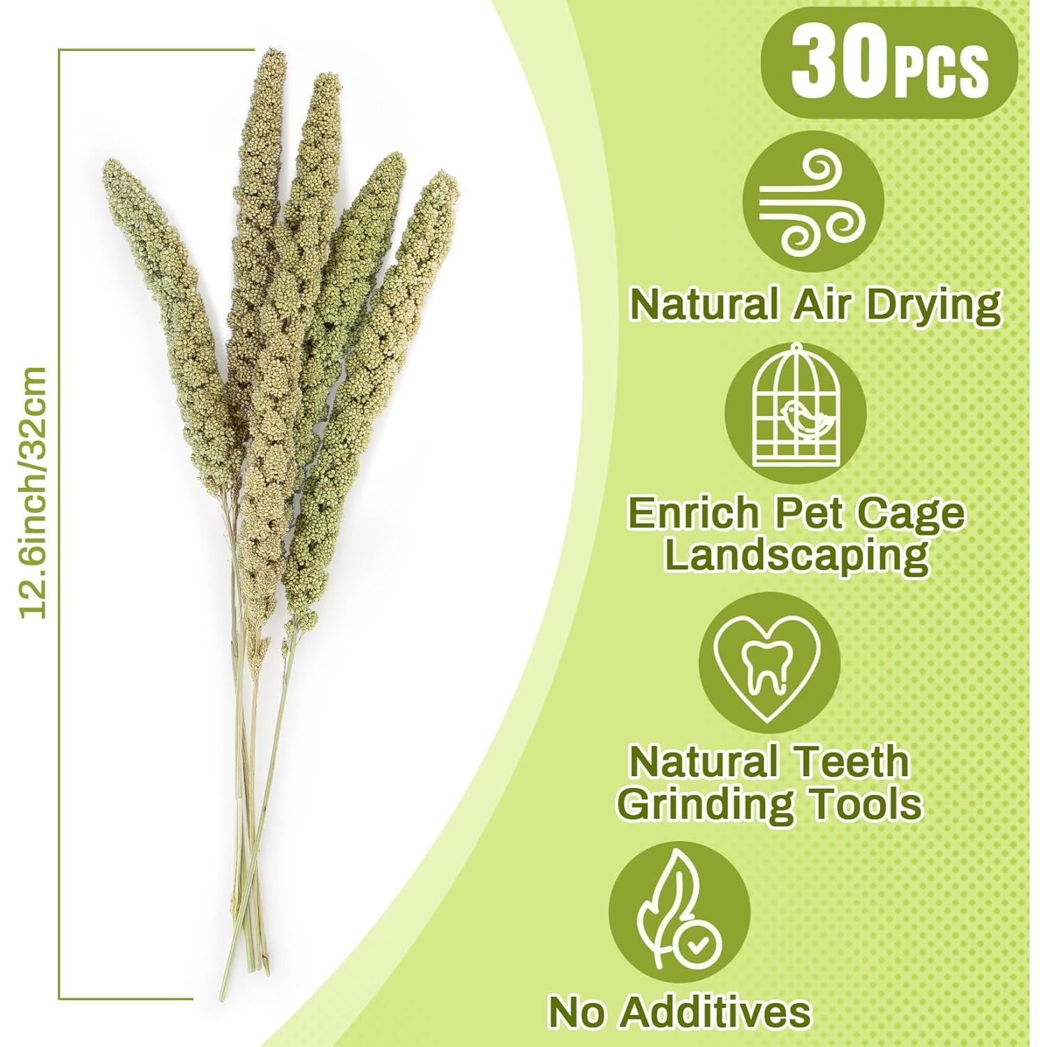 Rociadores de Mijo Natural para Hámster Sukh - 30 Piezas