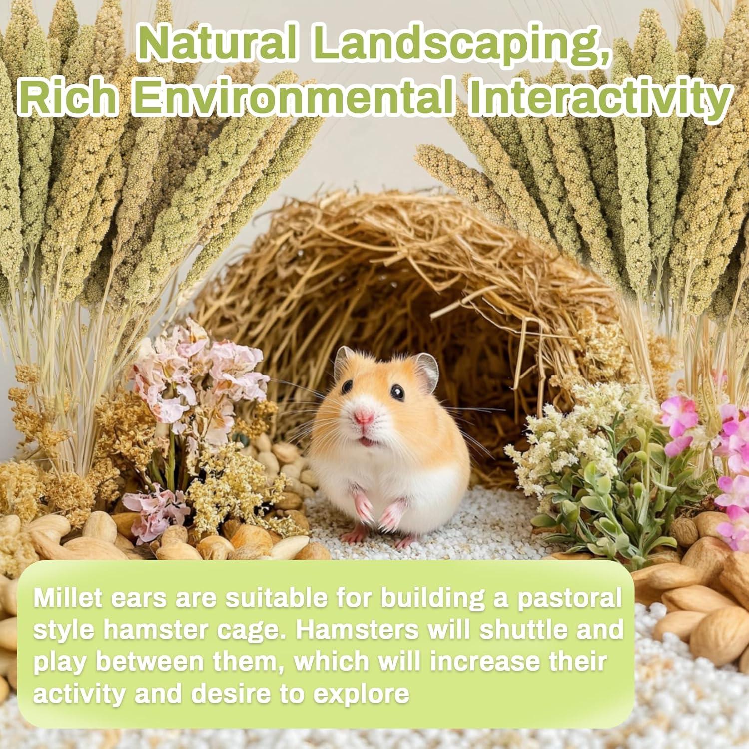 Rociadores de Mijo Natural para Hámster Sukh - 30 Piezas