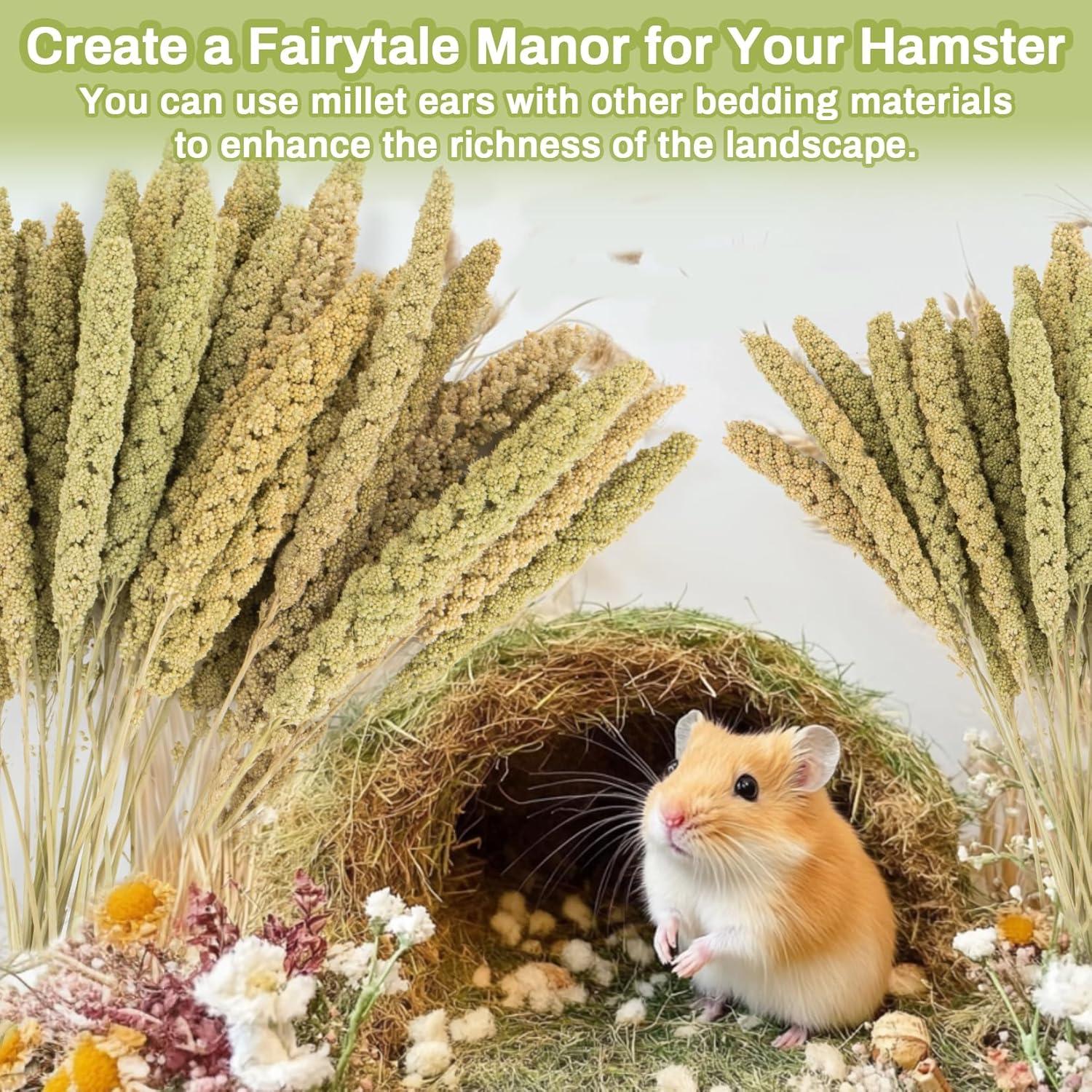 Rociadores de Mijo Natural para Hámster Sukh - 30 Piezas