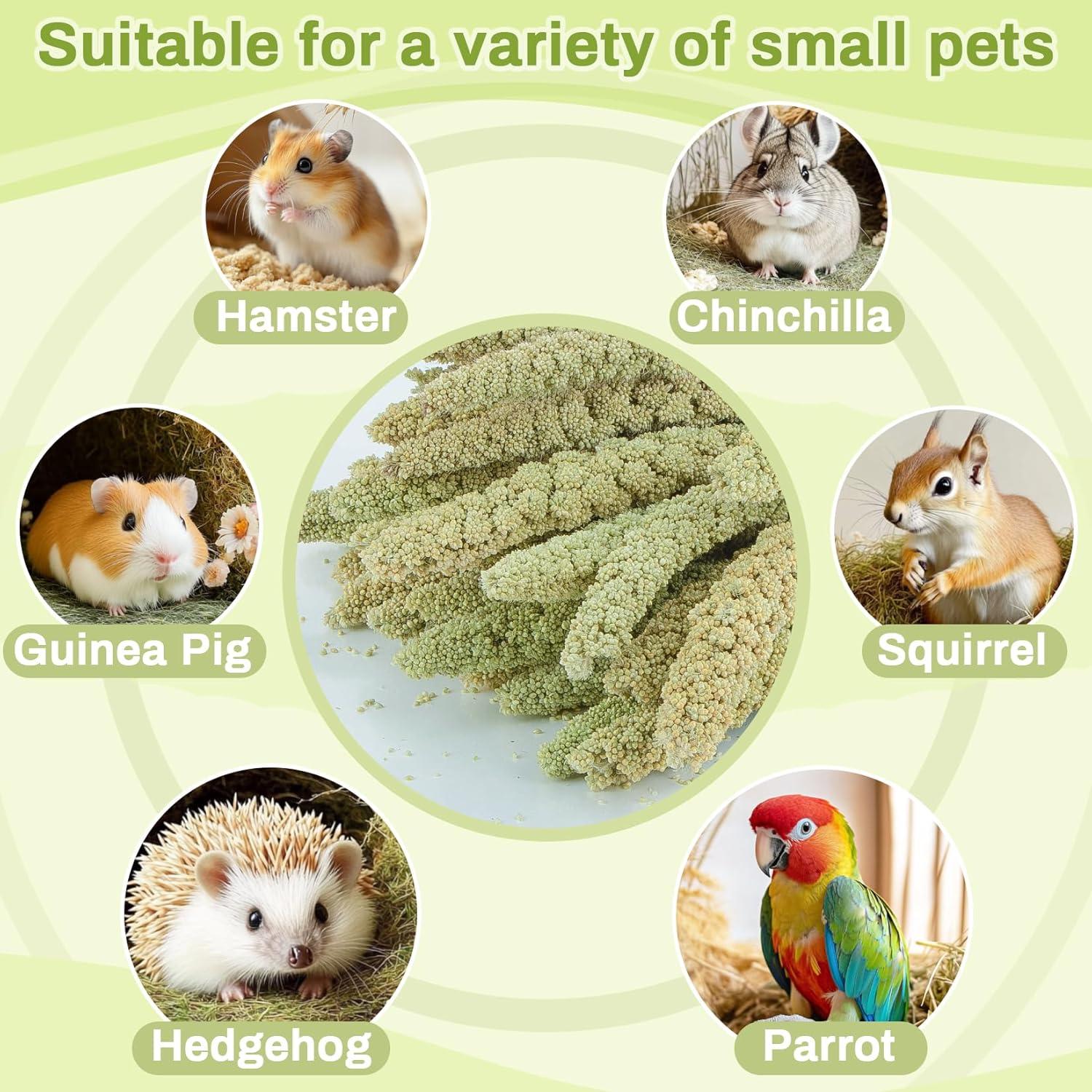 Rociadores de Mijo Natural para Hámster Sukh - 30 Piezas