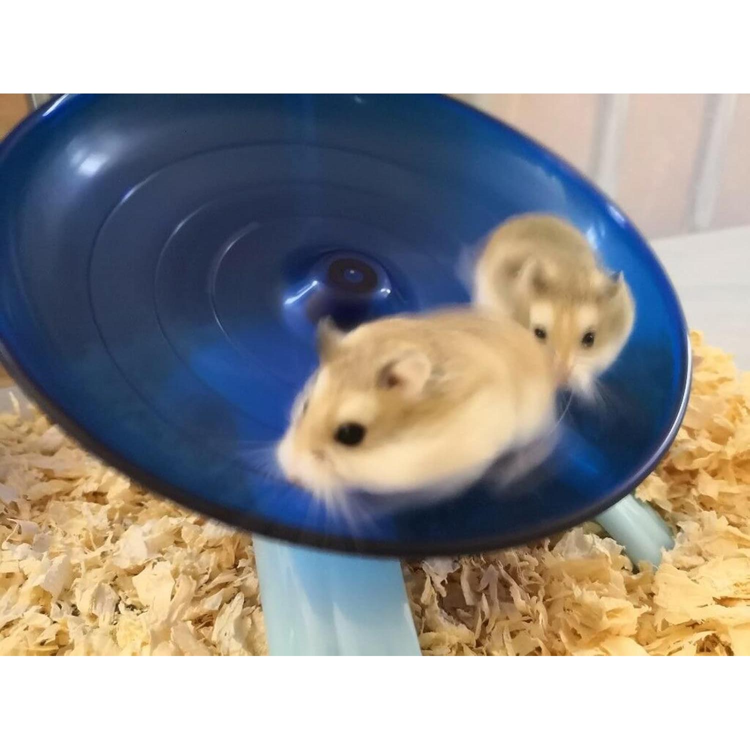 Rueda de Ejercicio para Cangrejo Ermitaño Wenriko 18.8cm Azul