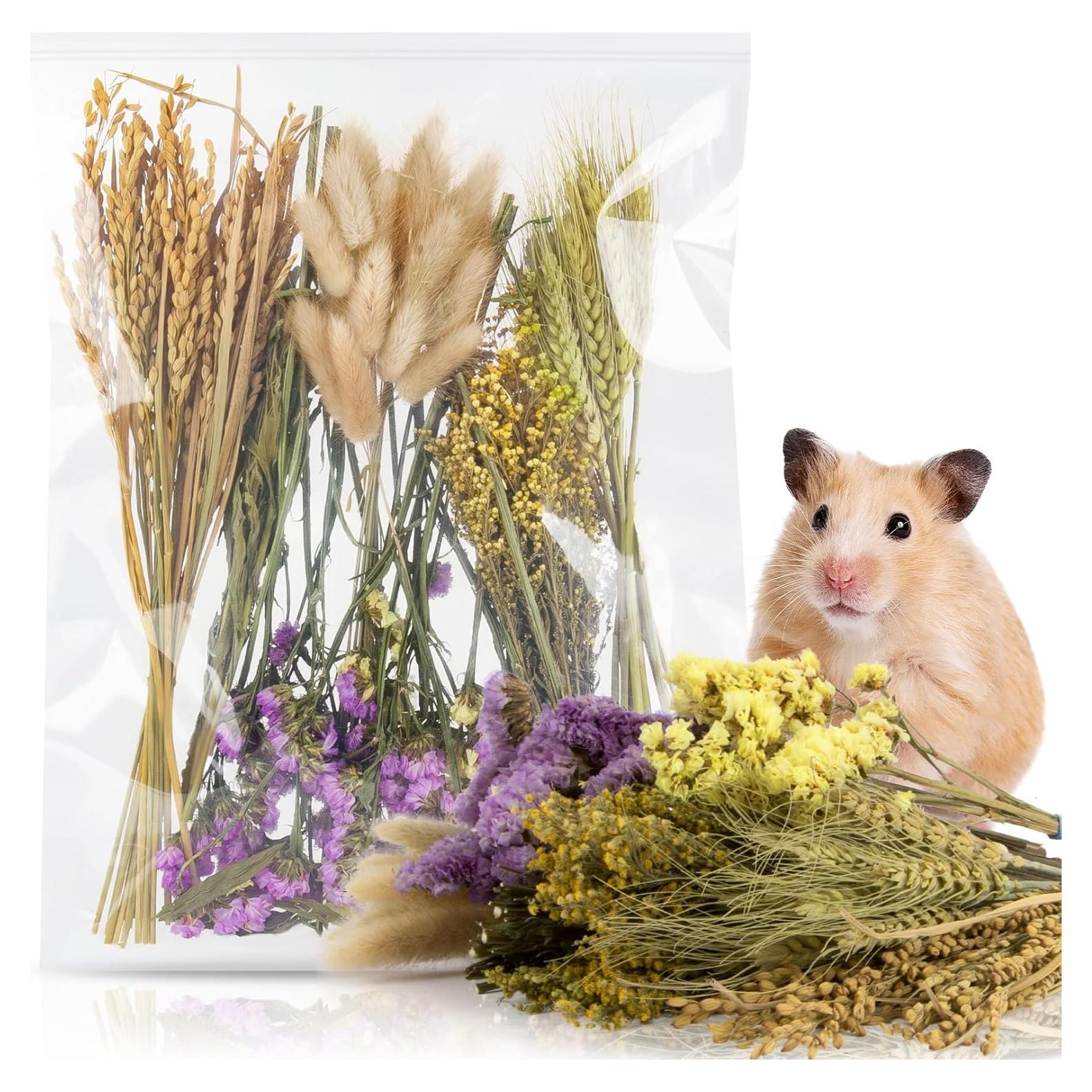 Decoración Natural para Hábitat de Hámster WRM - 60 Piezas