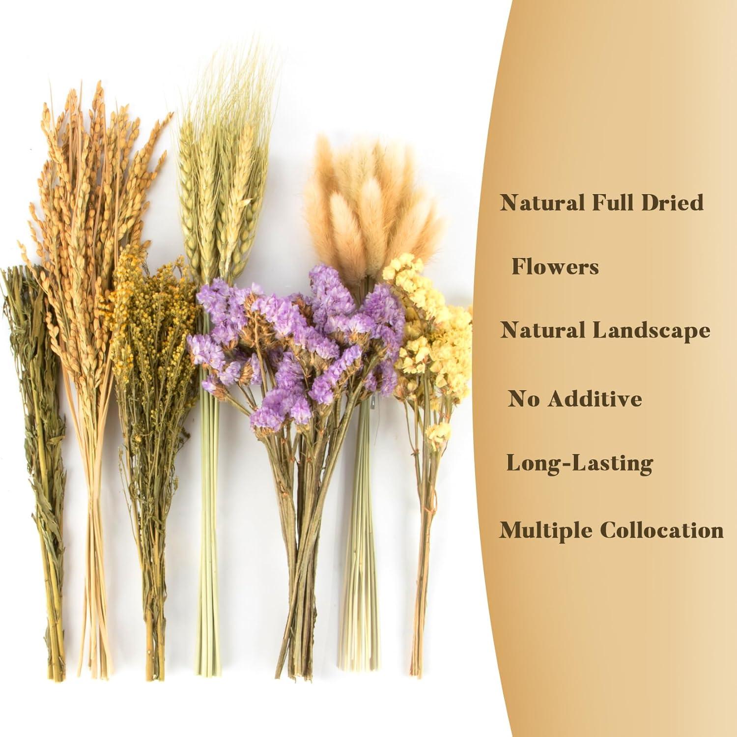 Decoración Natural para Hábitat de Hámster WRM - 60 Piezas