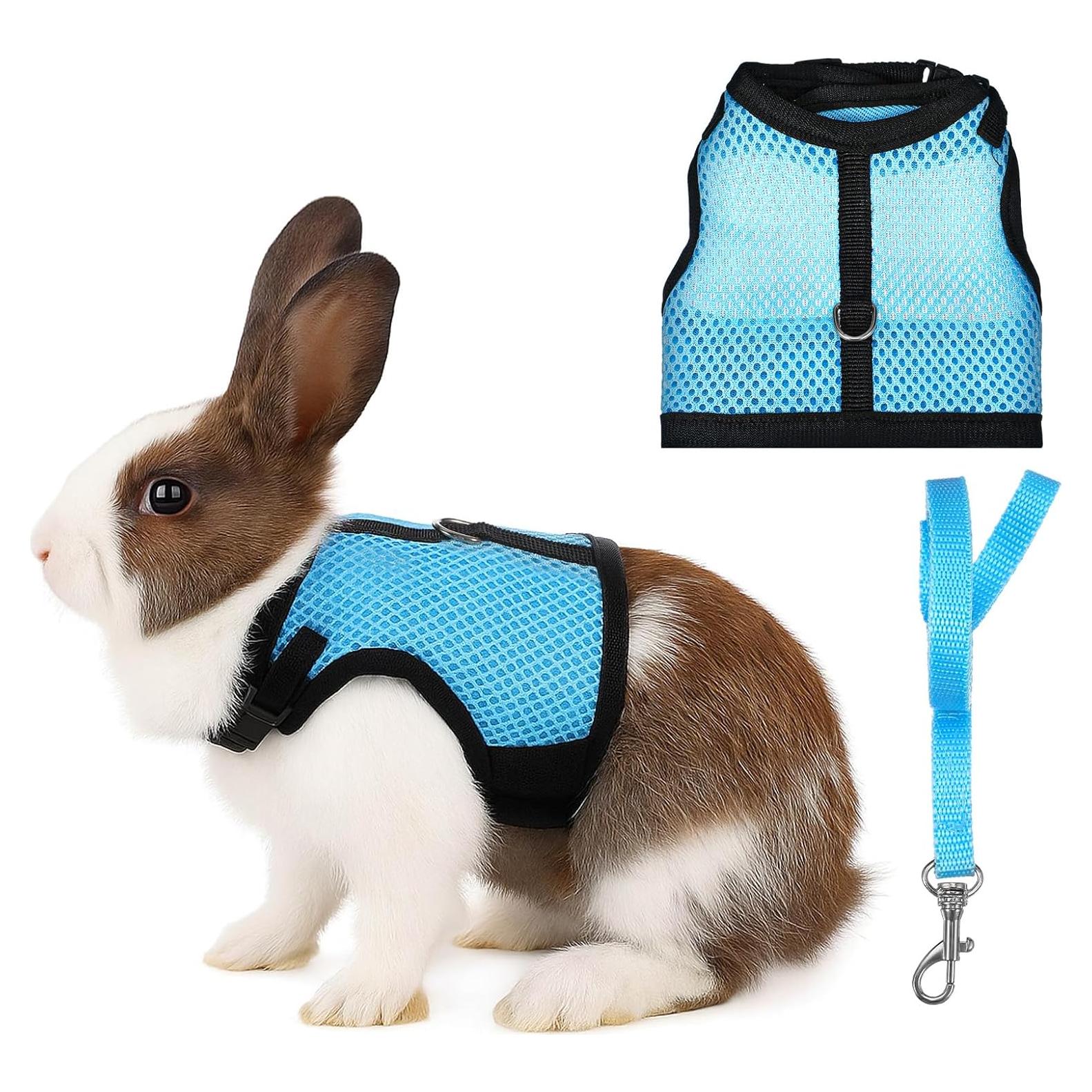 Conjunto Arnés y Correa Aiyorse para Conejos Talla M Azul Claro