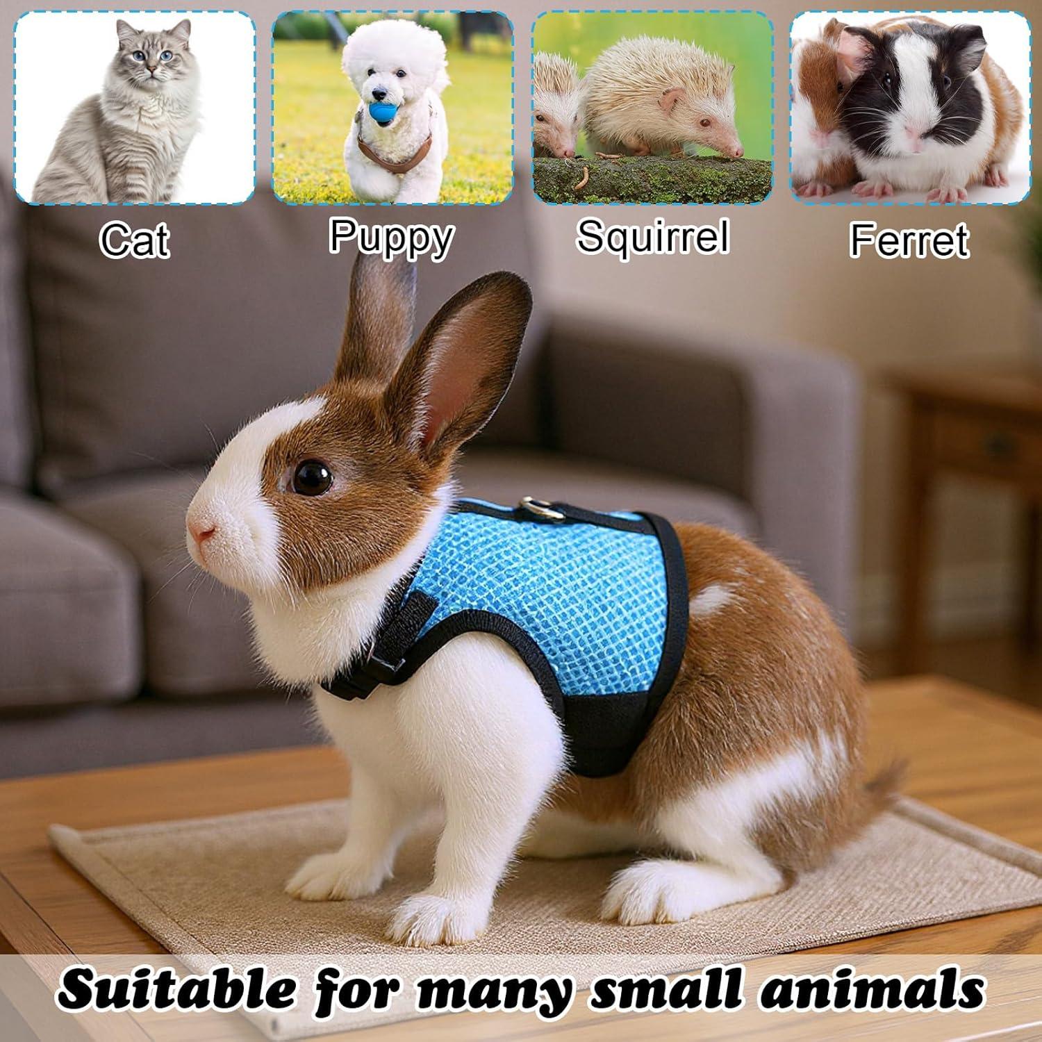 Conjunto Arnés y Correa Aiyorse para Conejos Talla M Azul Claro