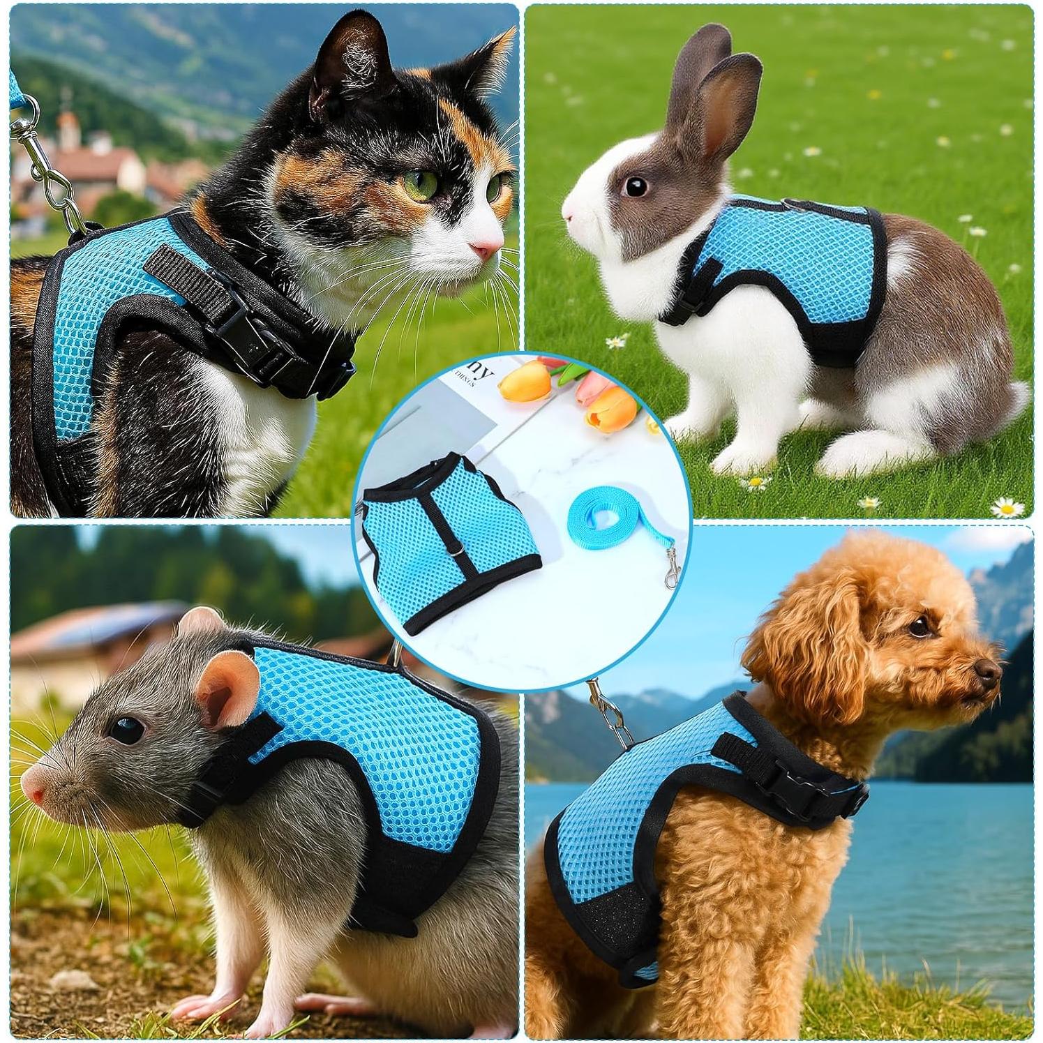 Conjunto Arnés y Correa Aiyorse para Conejos Talla M Azul Claro