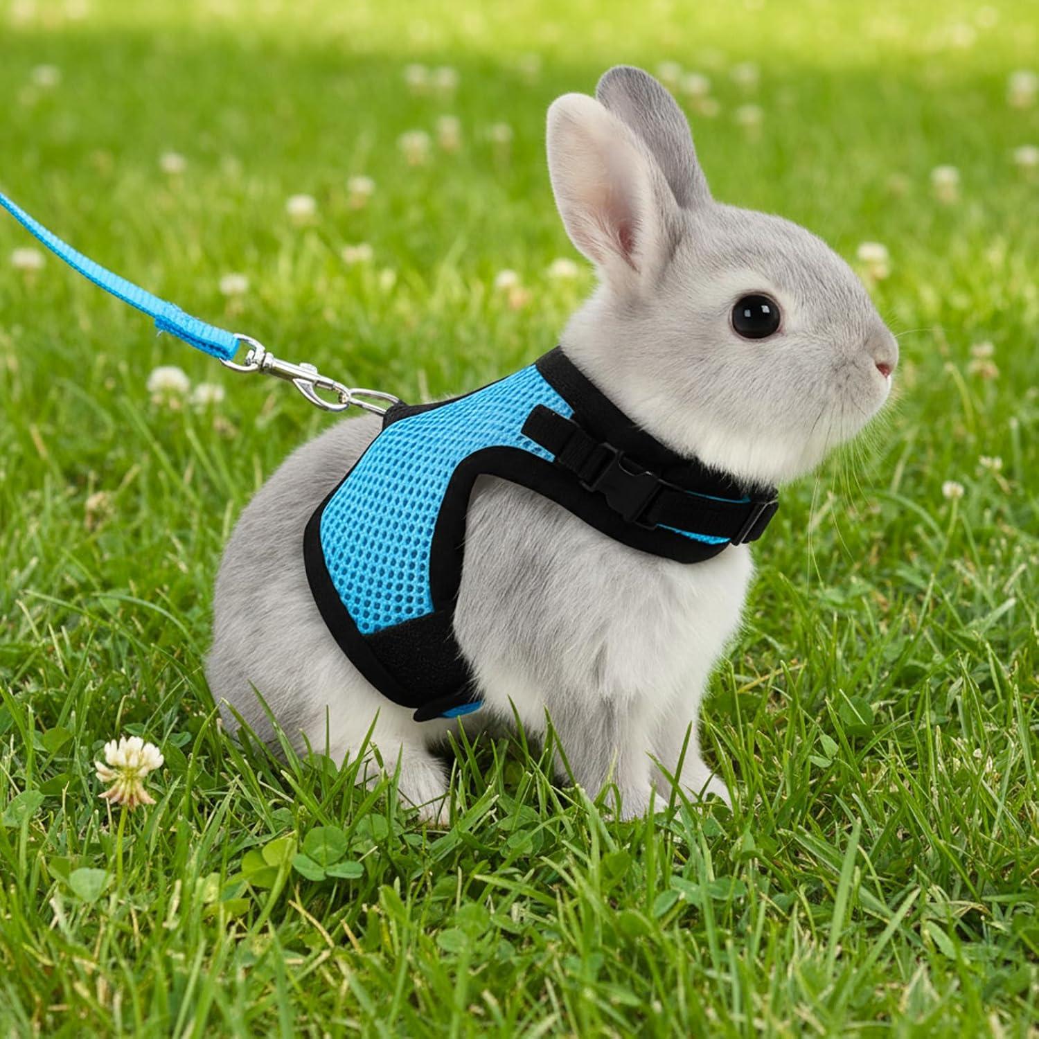 Conjunto Arnés y Correa Aiyorse para Conejos Talla M Azul Claro