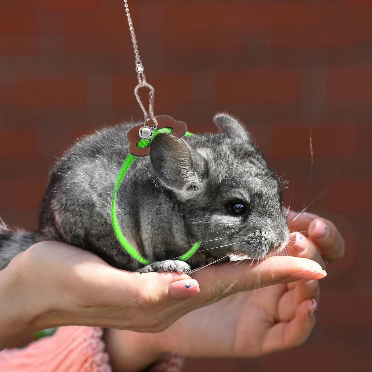 Arnés Ajustable para Hámster y Conejo HOKABLE Verde 120 cm