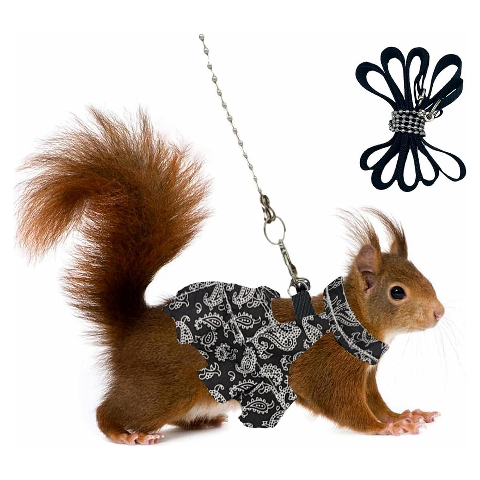 Arnés y Correa Ajustable HOKABLE para Mascotas Pequeñas S