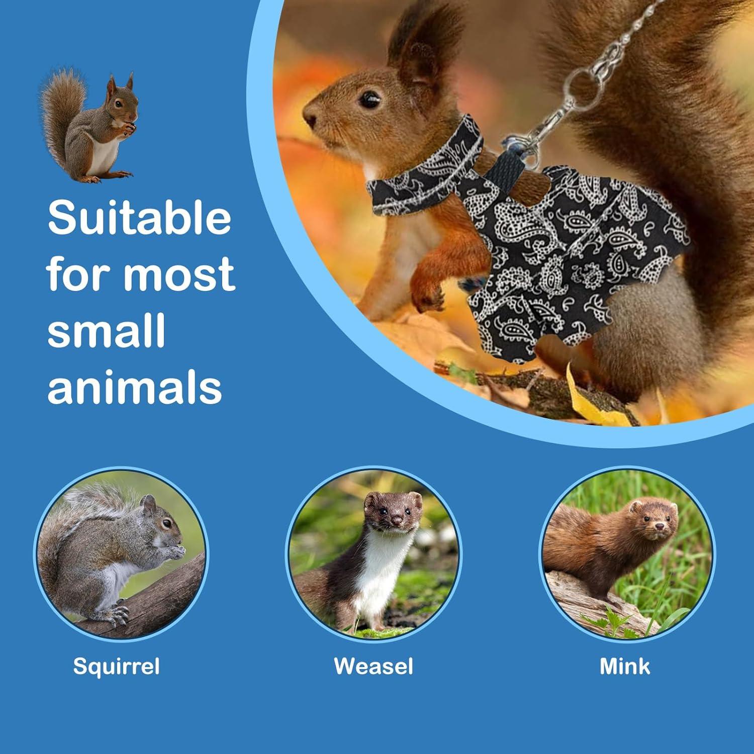 Arnés y Correa Ajustable HOKABLE para Mascotas Pequeñas S