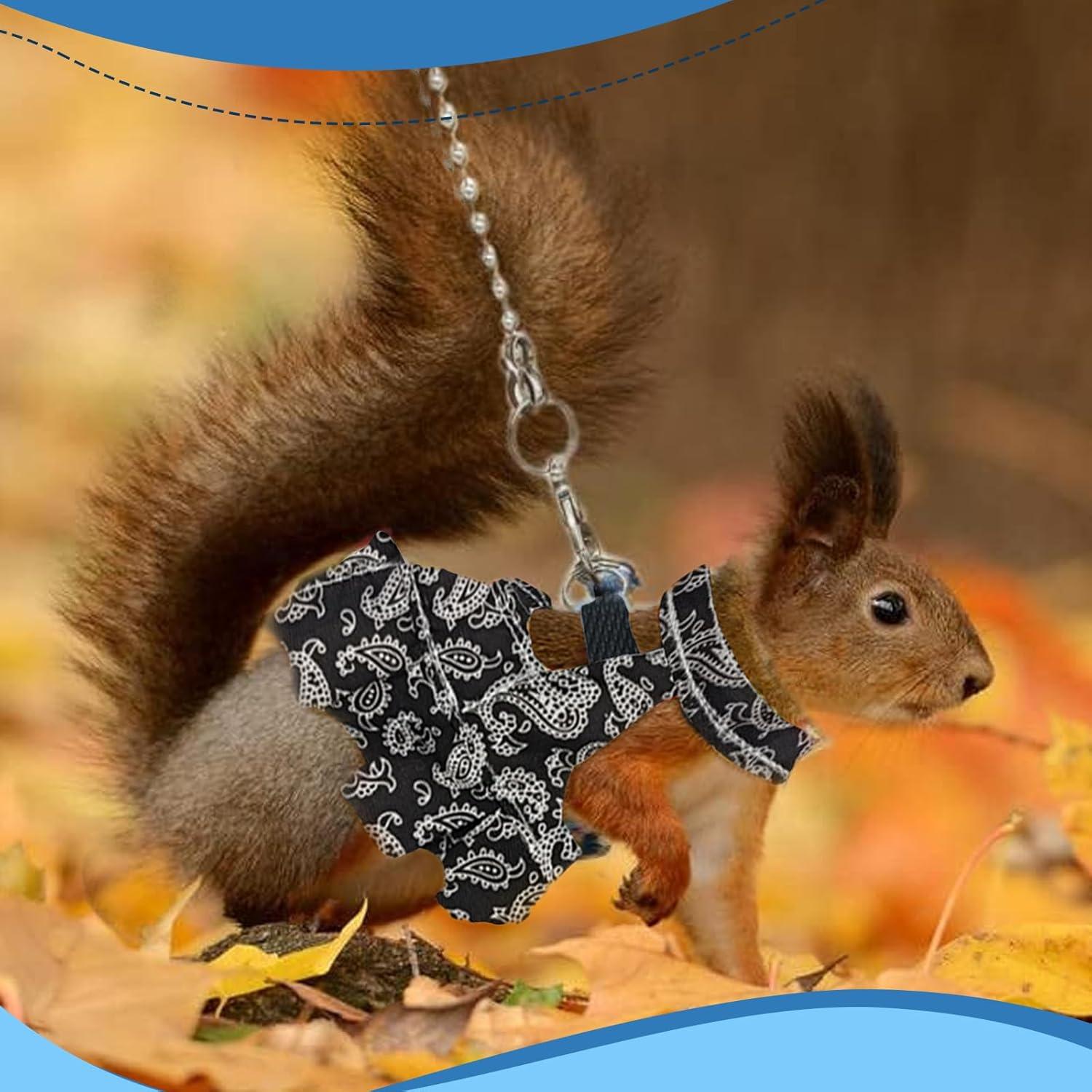 Arnés y Correa Ajustable HOKABLE para Mascotas Pequeñas S