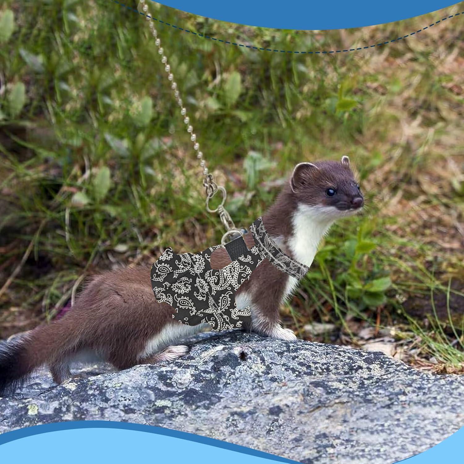 Arnés y Correa Ajustable HOKABLE para Mascotas Pequeñas S