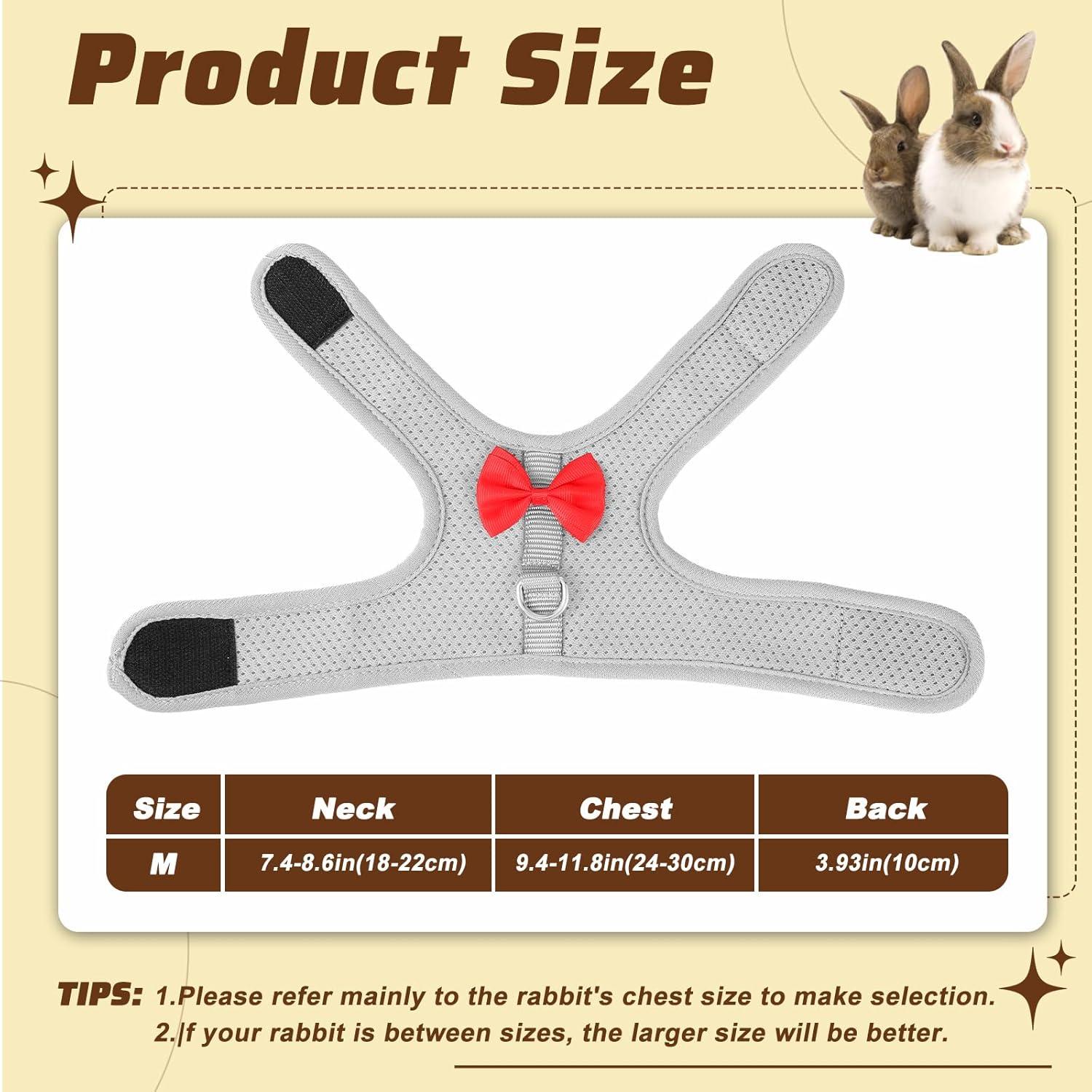 Conjunto Arnés y Correa para Conejo XLIUAX Gris M