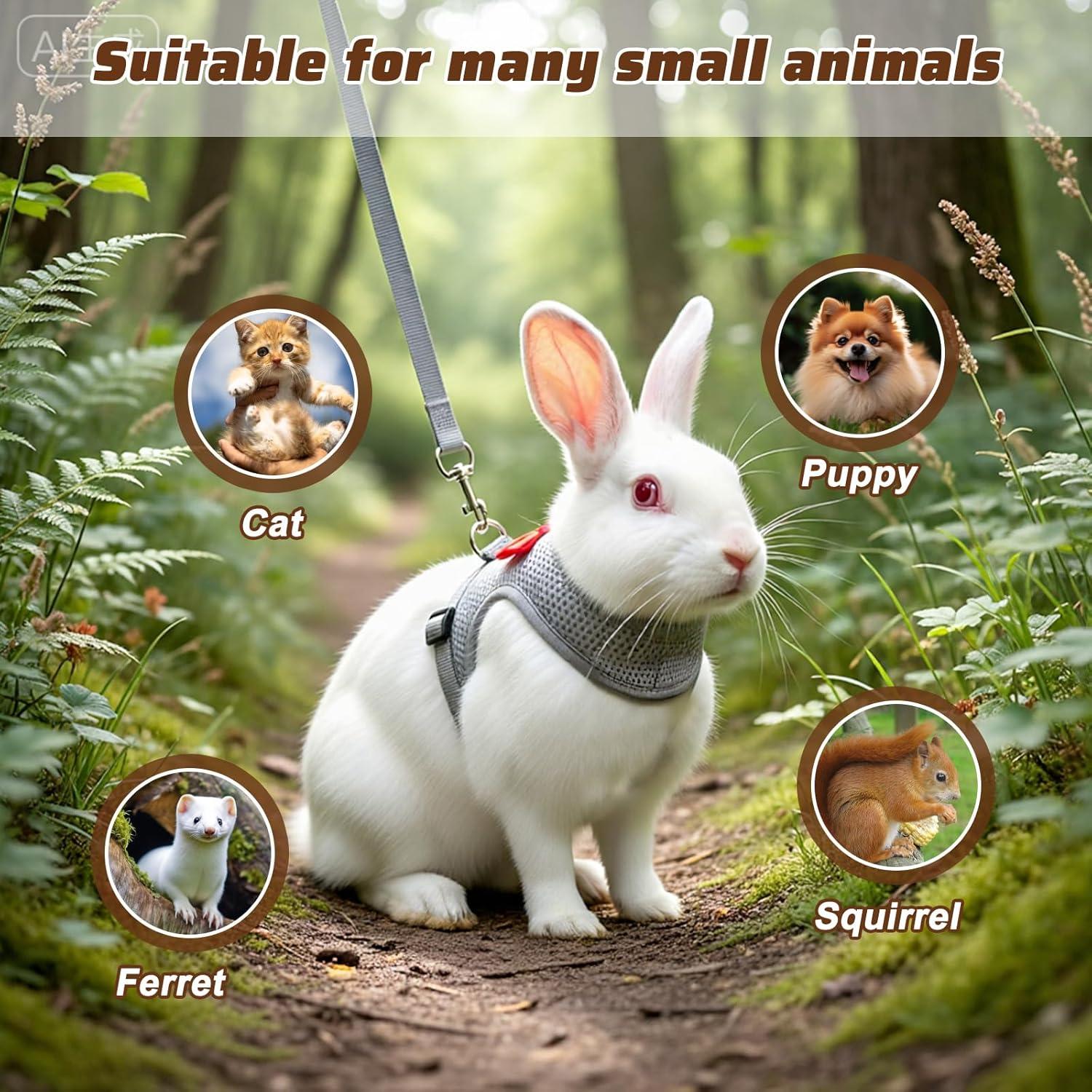 Conjunto Arnés y Correa para Conejo XLIUAX Gris M