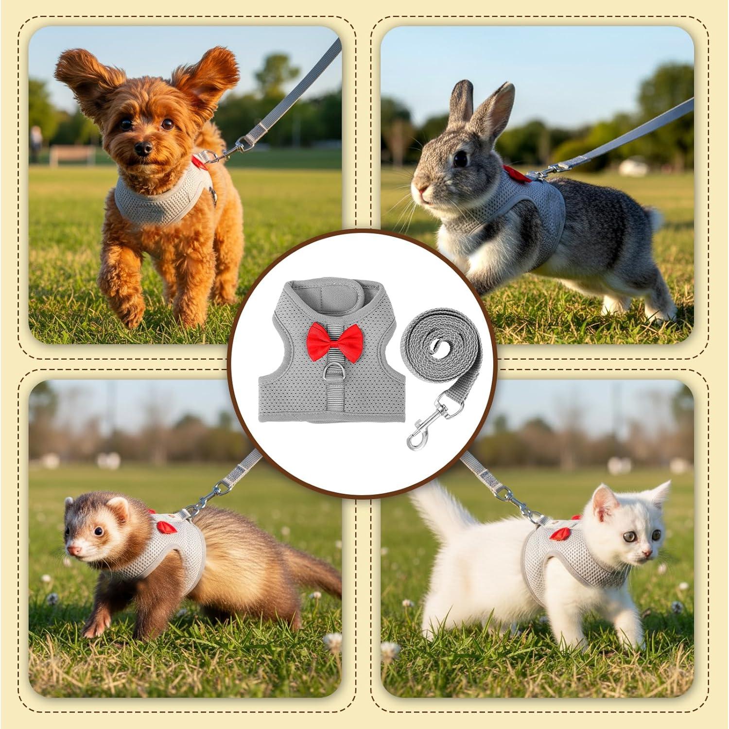 Conjunto Arnés y Correa para Conejo XLIUAX Gris M