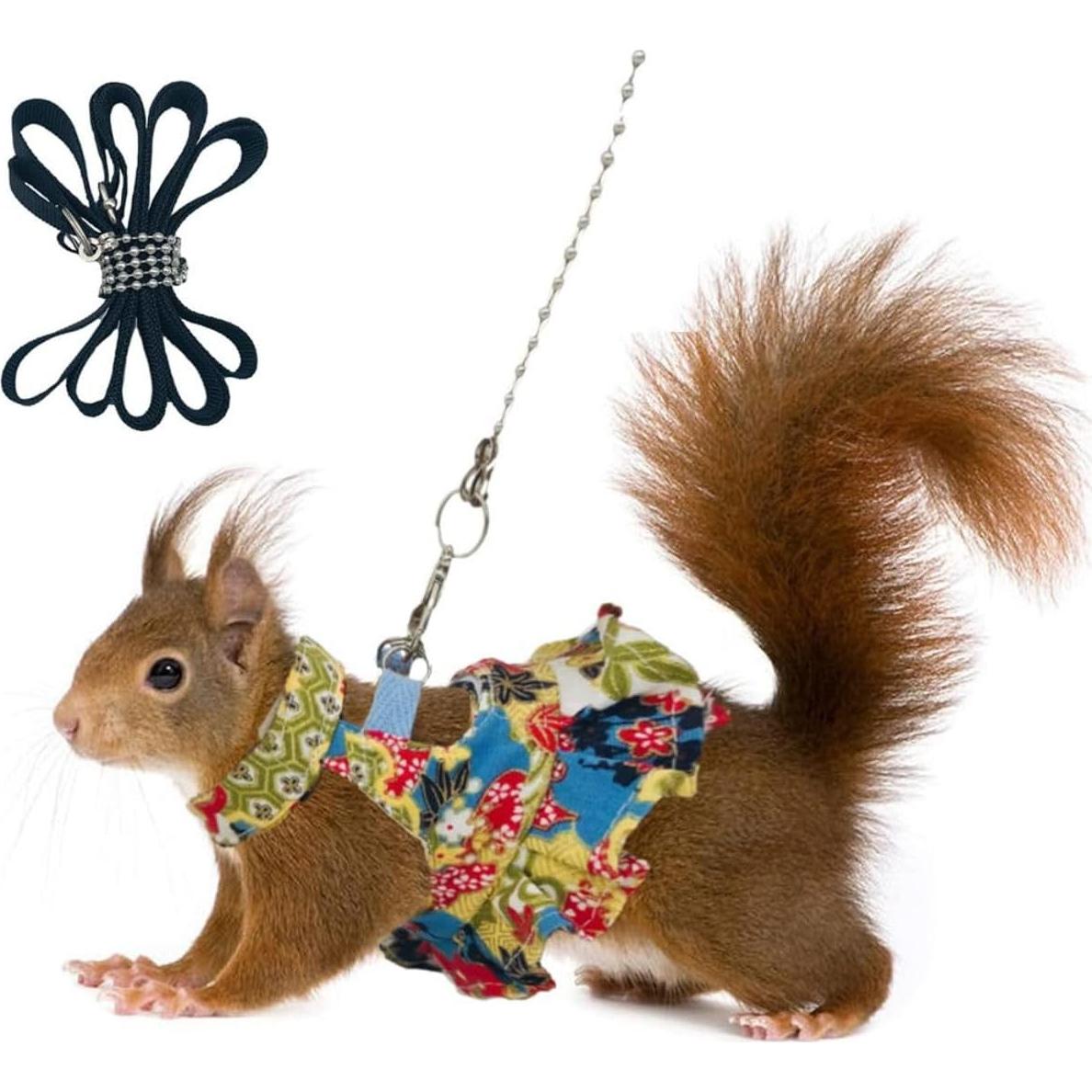 Juego de Arnés y Correa para Pequeños Animales Copfeu Mediano