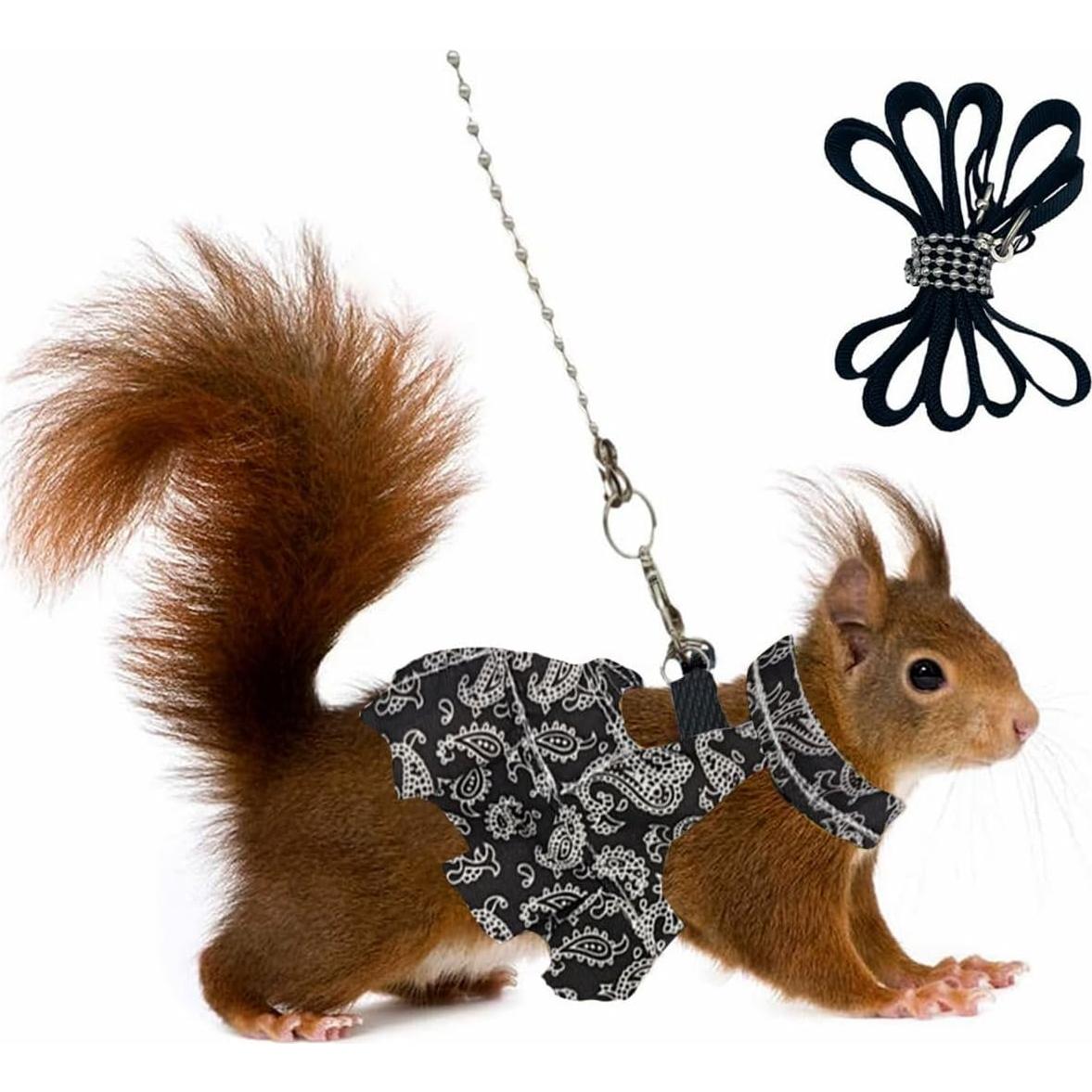 Juego de Arnés y Correa para Pequeños Animales Copfeu Mediano