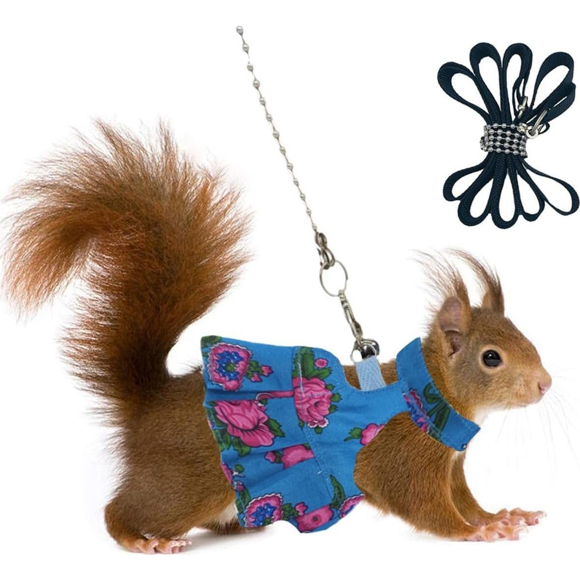 Juego de Arnés y Correa para Pequeños Animales Copfeu Mediano