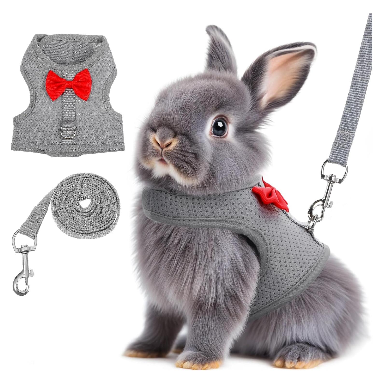 Arnés y Correa para Conejos Larrel Ajustable Transpirable M