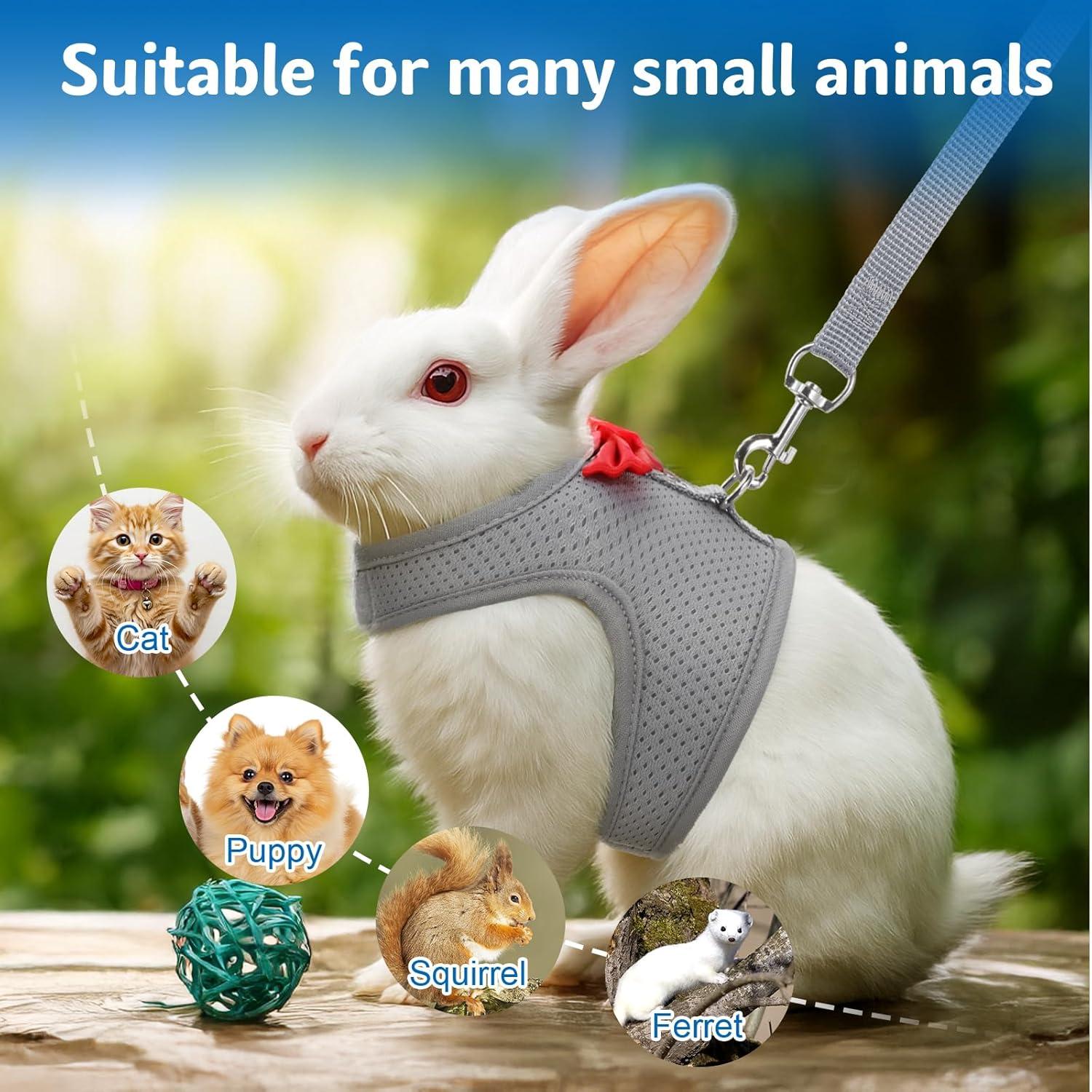 Arnés y Correa para Conejos Larrel Ajustable Transpirable M