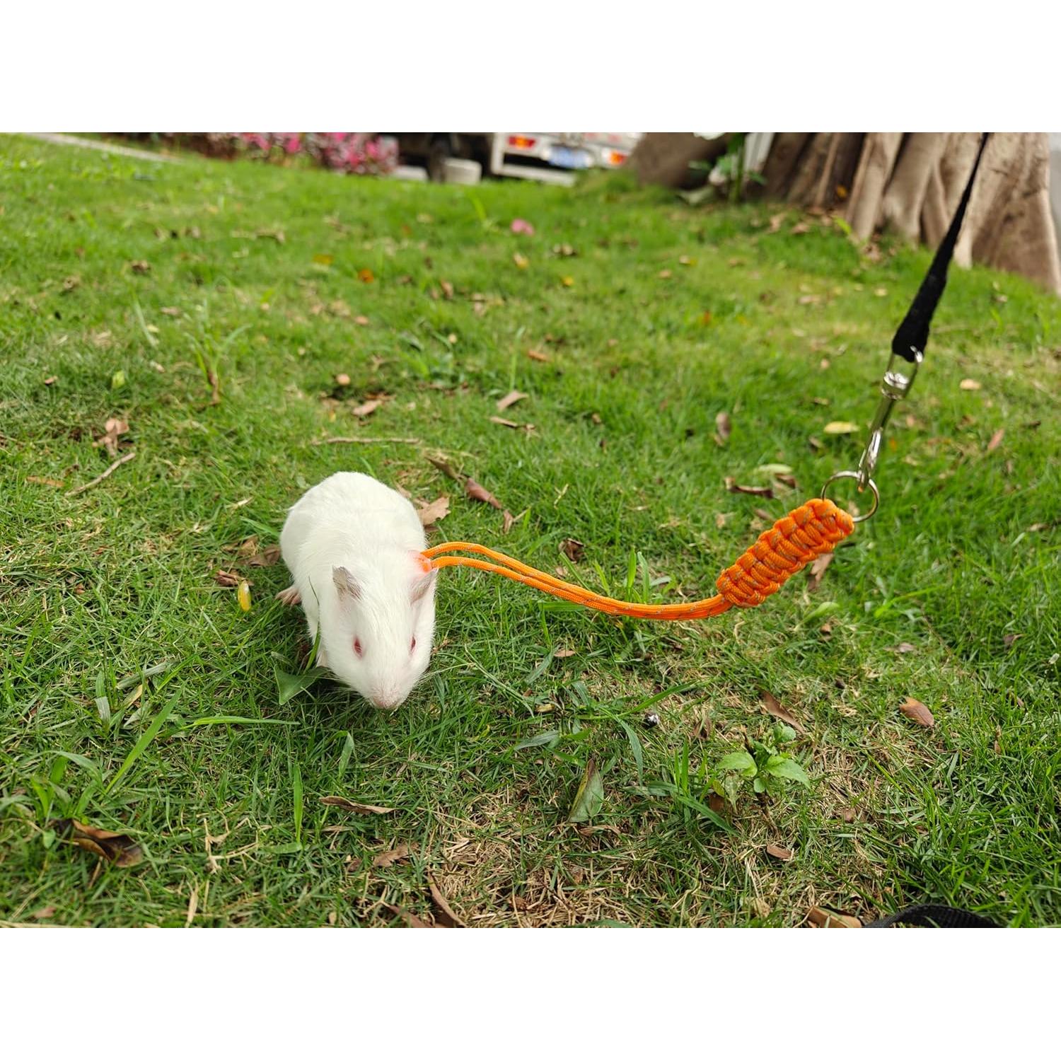 Arnés y Correa Ajustable para Conejos y Animales Pequeños - Paquete de 2