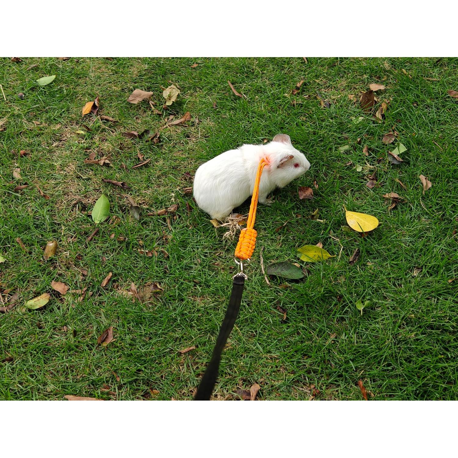 Arnés y Correa Ajustable para Conejos y Animales Pequeños - Paquete de 2