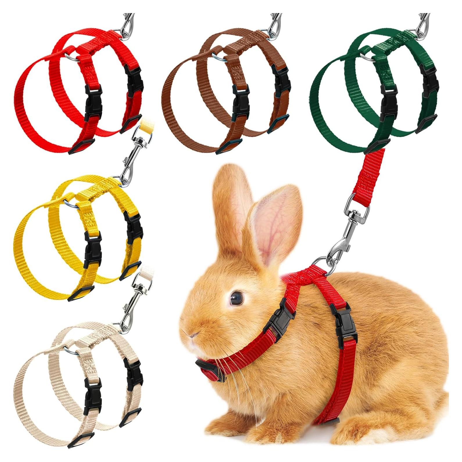 Conjunto Arnés y Correa Ajustable Outus para Mascotas Pequeñas