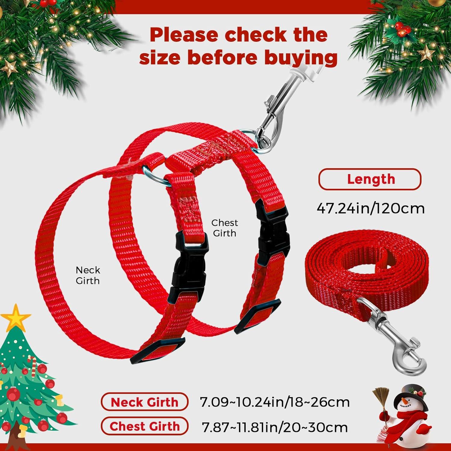 Conjunto Arnés y Correa Ajustable Outus para Mascotas Pequeñas