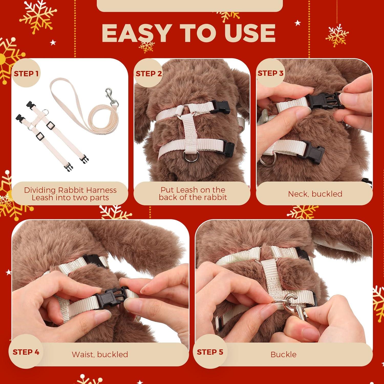 Conjunto Arnés y Correa Ajustable Outus para Mascotas Pequeñas