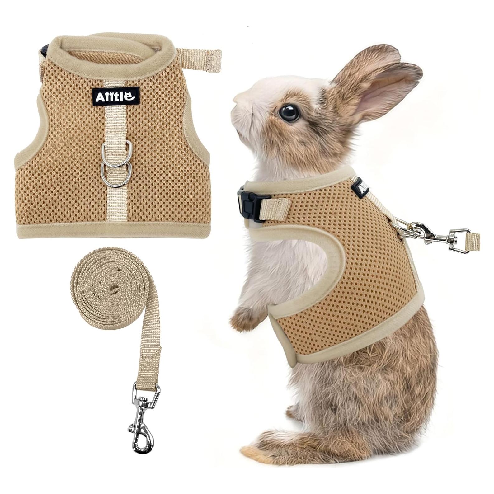 Conjunto Arnés y Correa AIITLE Caqui para Conejos y Mascotas