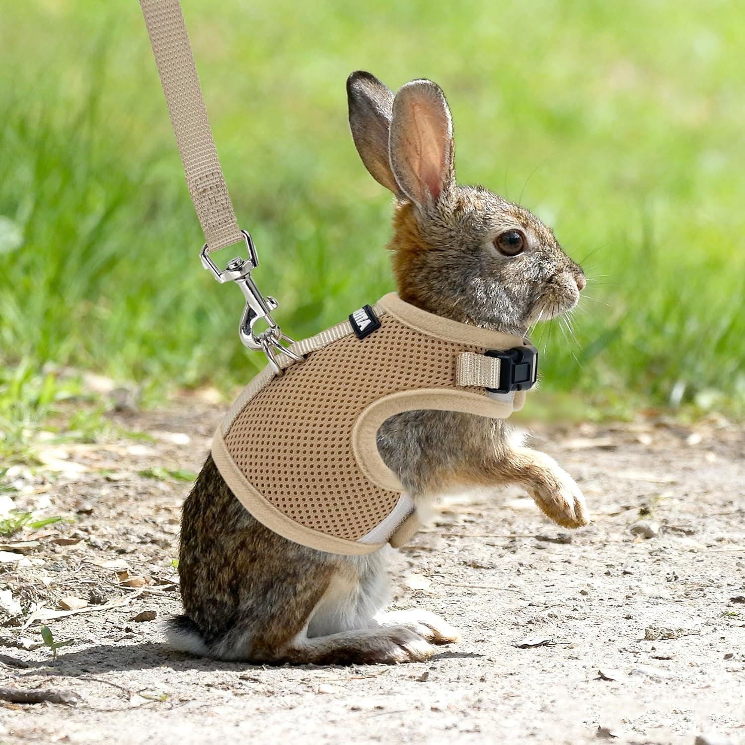 Conjunto Arnés y Correa AIITLE Caqui para Conejos y Mascotas