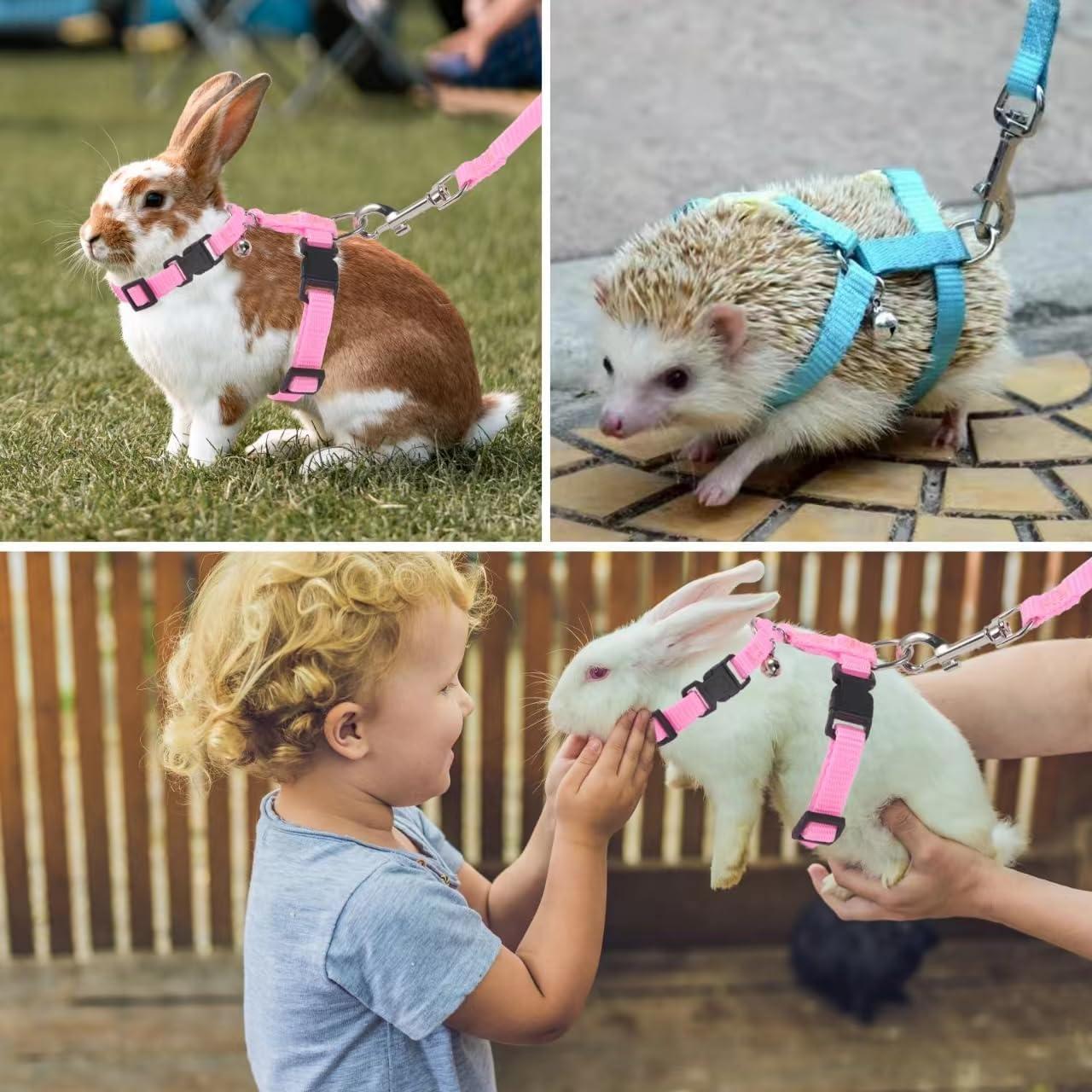 Arnés Ajustable para Erizo Soezy con Cuerda de Tracción 110cm Rosa