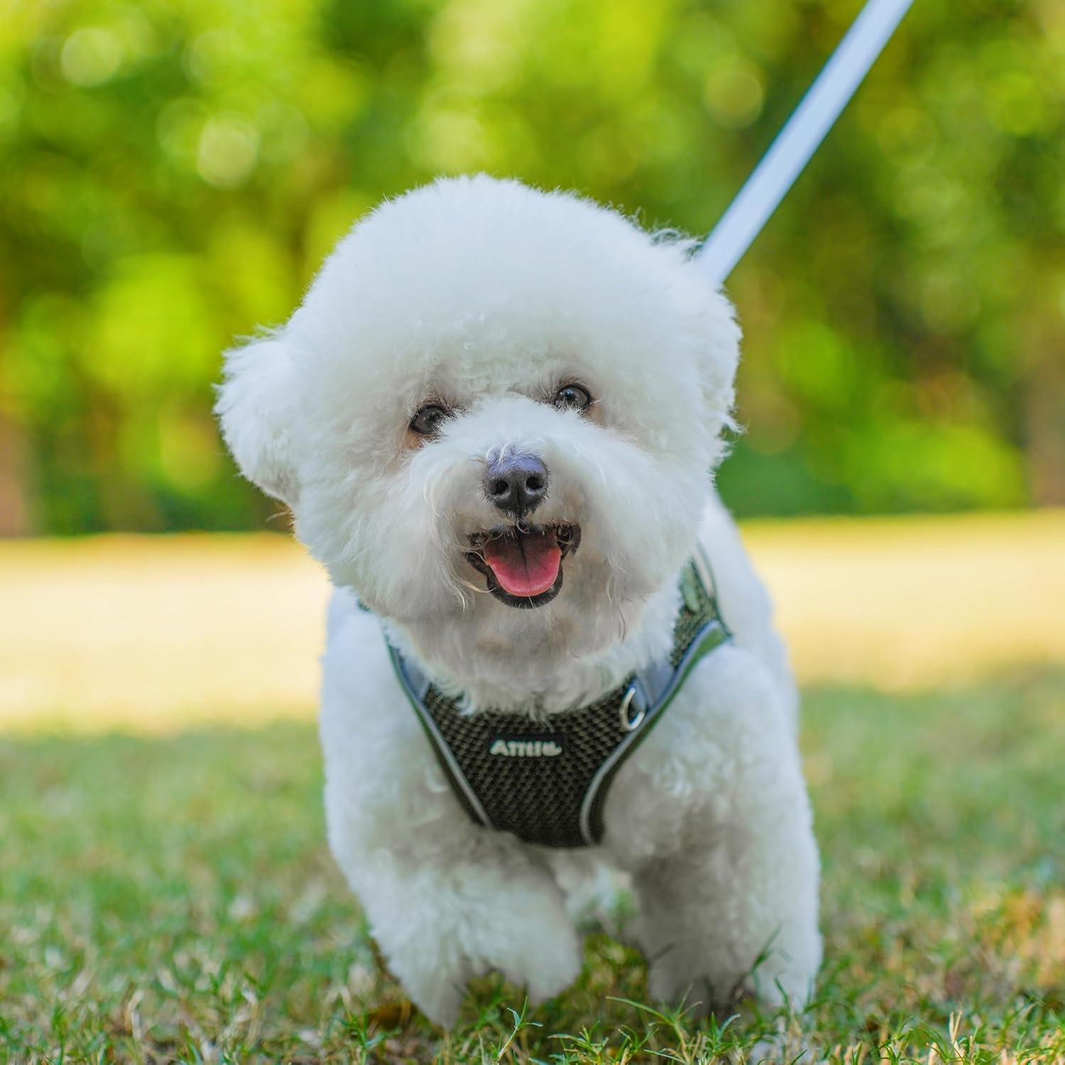 Arnés Sin Tirones AIITLE Verde Militar XS para Perros y Gatos
