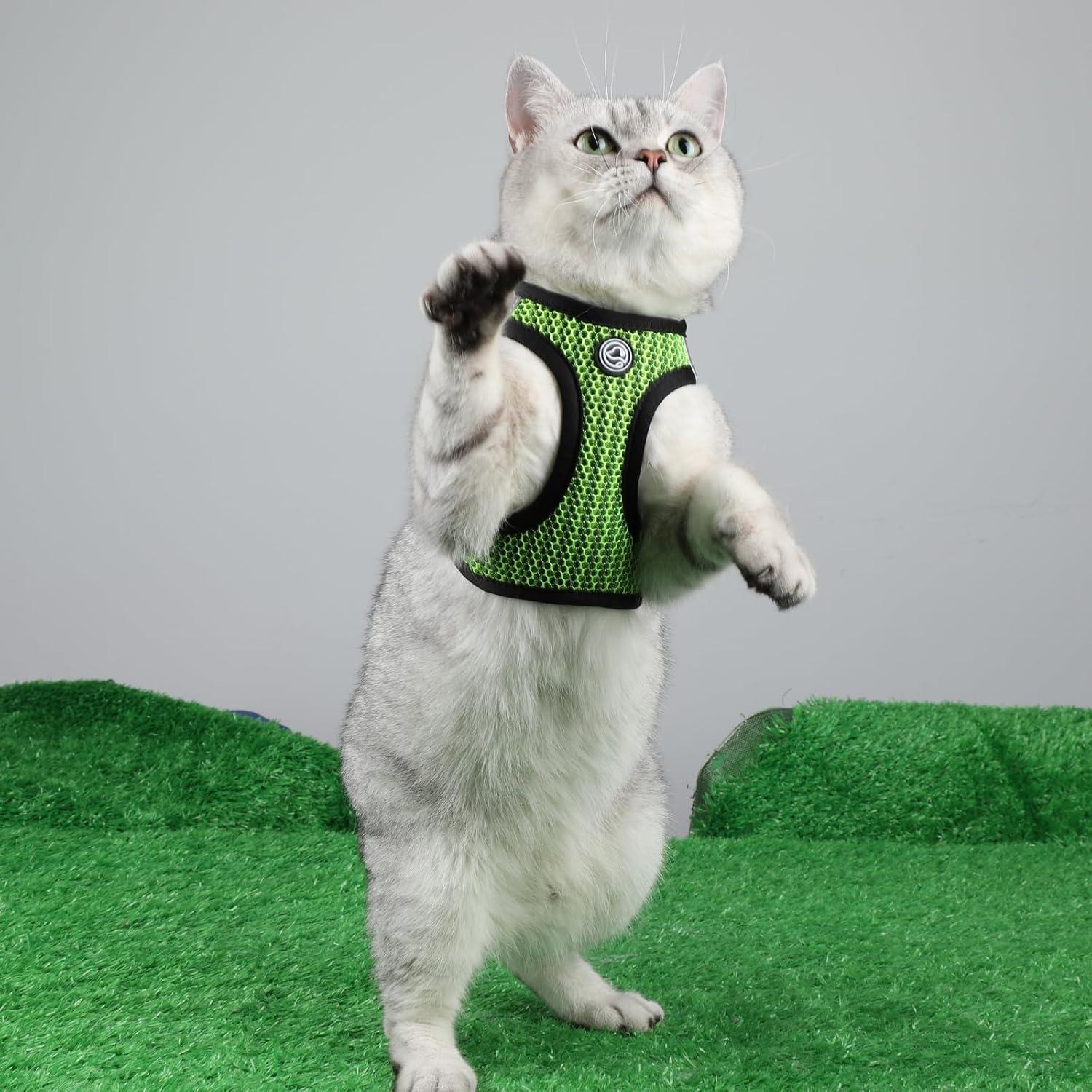 Arnés Suave para Perros Pequeños Shifenmei Verde XX-Pequeño