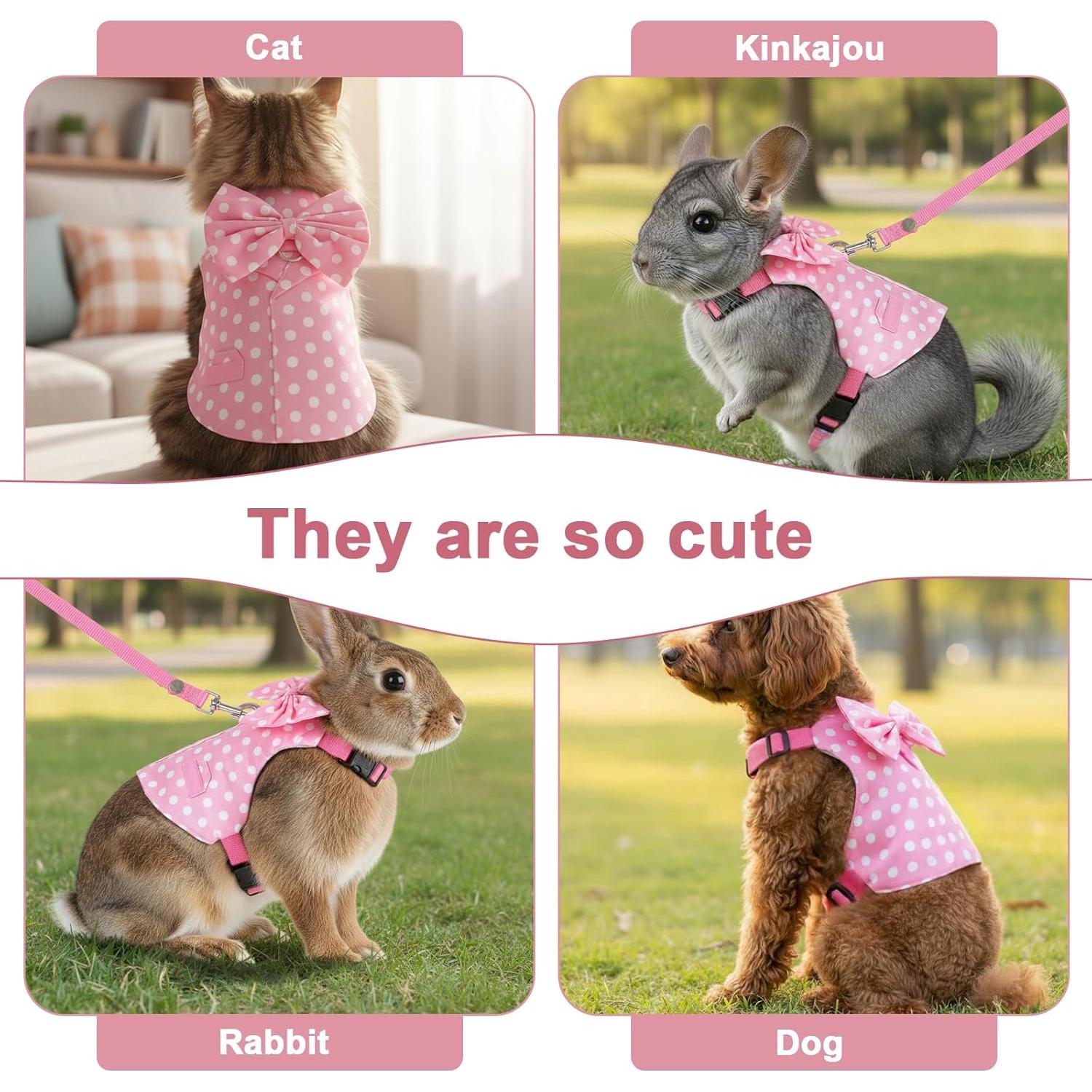 Conjunto Arnés y Correa para Conejo BOHUIZ Rosa Tamaño S