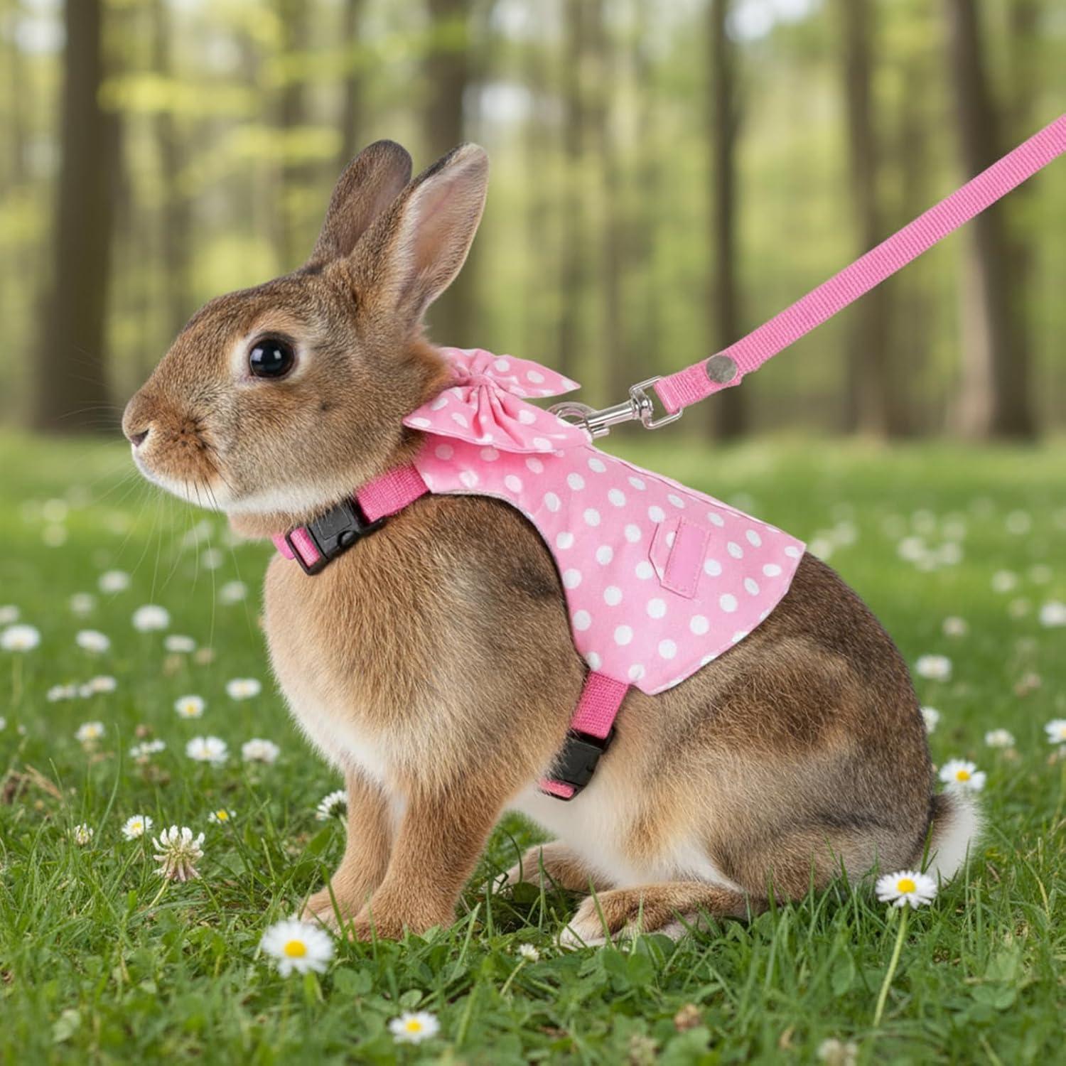 Conjunto Arnés y Correa para Conejo BOHUIZ Rosa Tamaño S