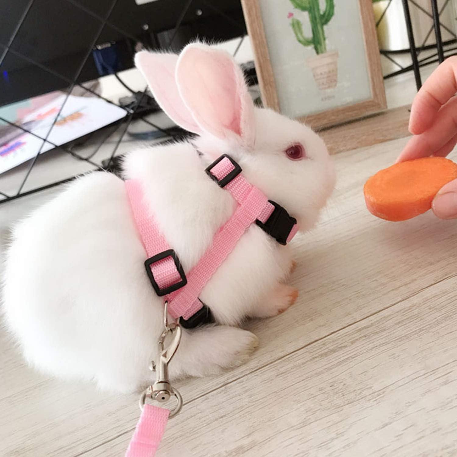 Paquete de 6 Arnés y Correa Ajustable Rocutus para Gato y Conejo