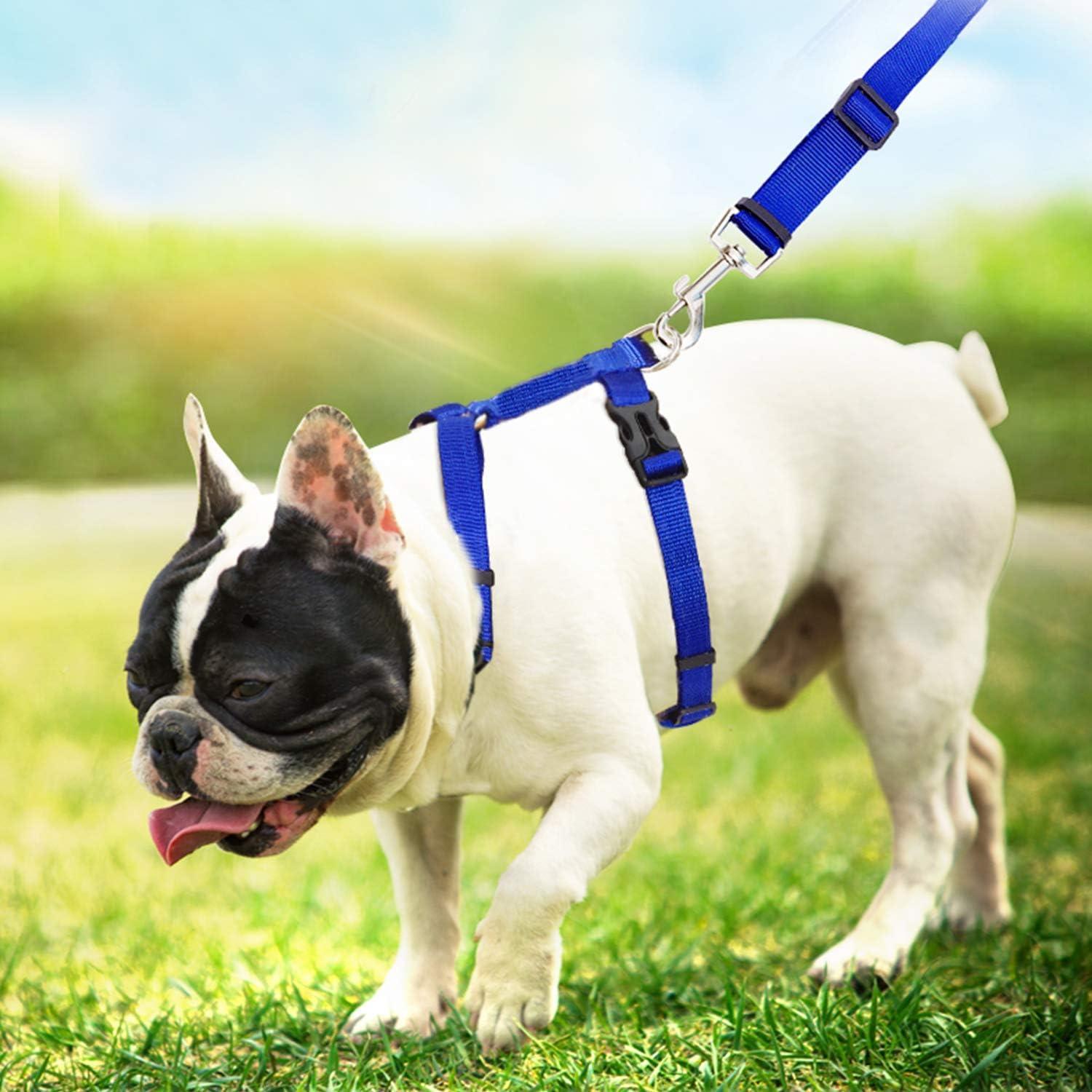 Paquete de 6 Arnés y Correa Ajustable Rocutus para Gato y Conejo