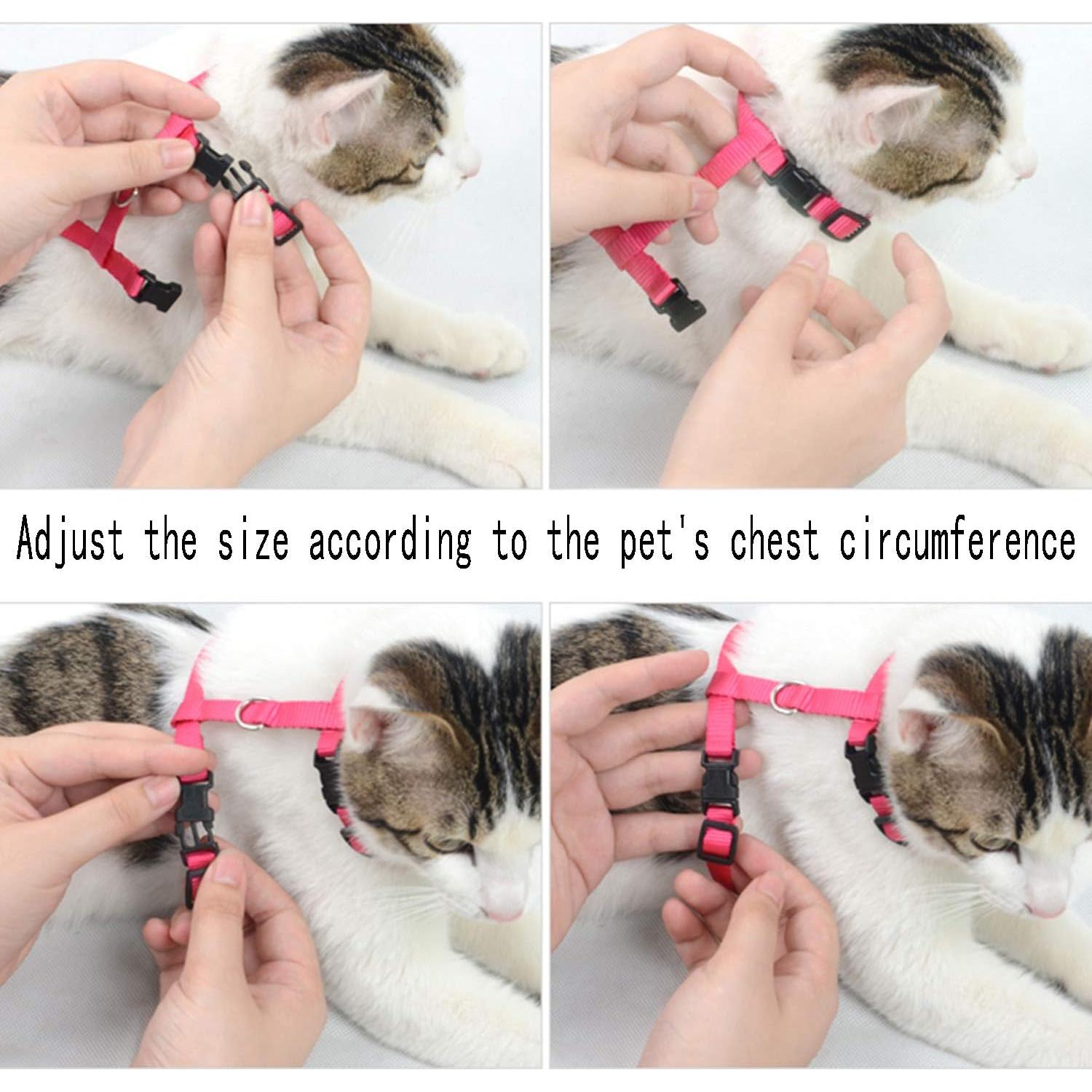 Paquete de 6 Arnés y Correa Ajustable Rocutus para Gato y Conejo