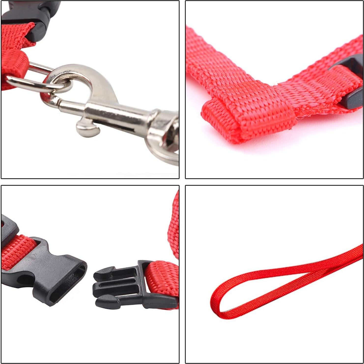 Paquete de 6 Arnés y Correa Ajustable Rocutus para Gato y Conejo