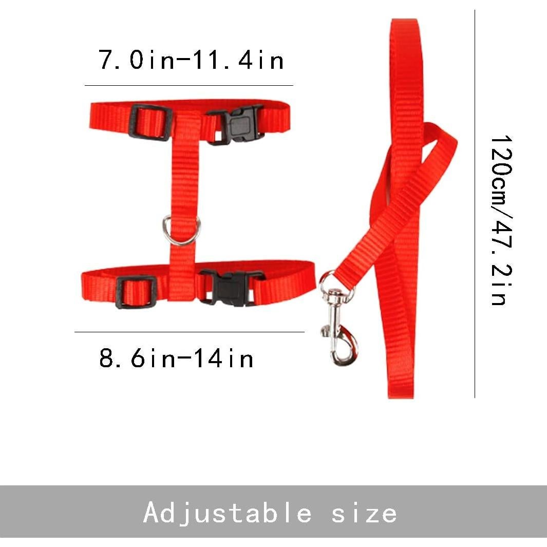 Paquete de 6 Arnés y Correa Ajustable Rocutus para Gato y Conejo